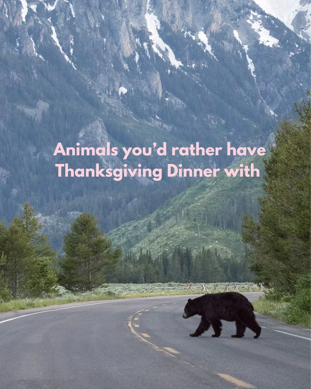 Happy Native American Heritage Month! 

(Pictures courtesy of my little brother&rsquo;s recent outdoors obsession that I like to think I had a hand in nurturing.)

#wildlife #thanksgivingdinner #wishlist #outdoors #nature #peaksngeeks