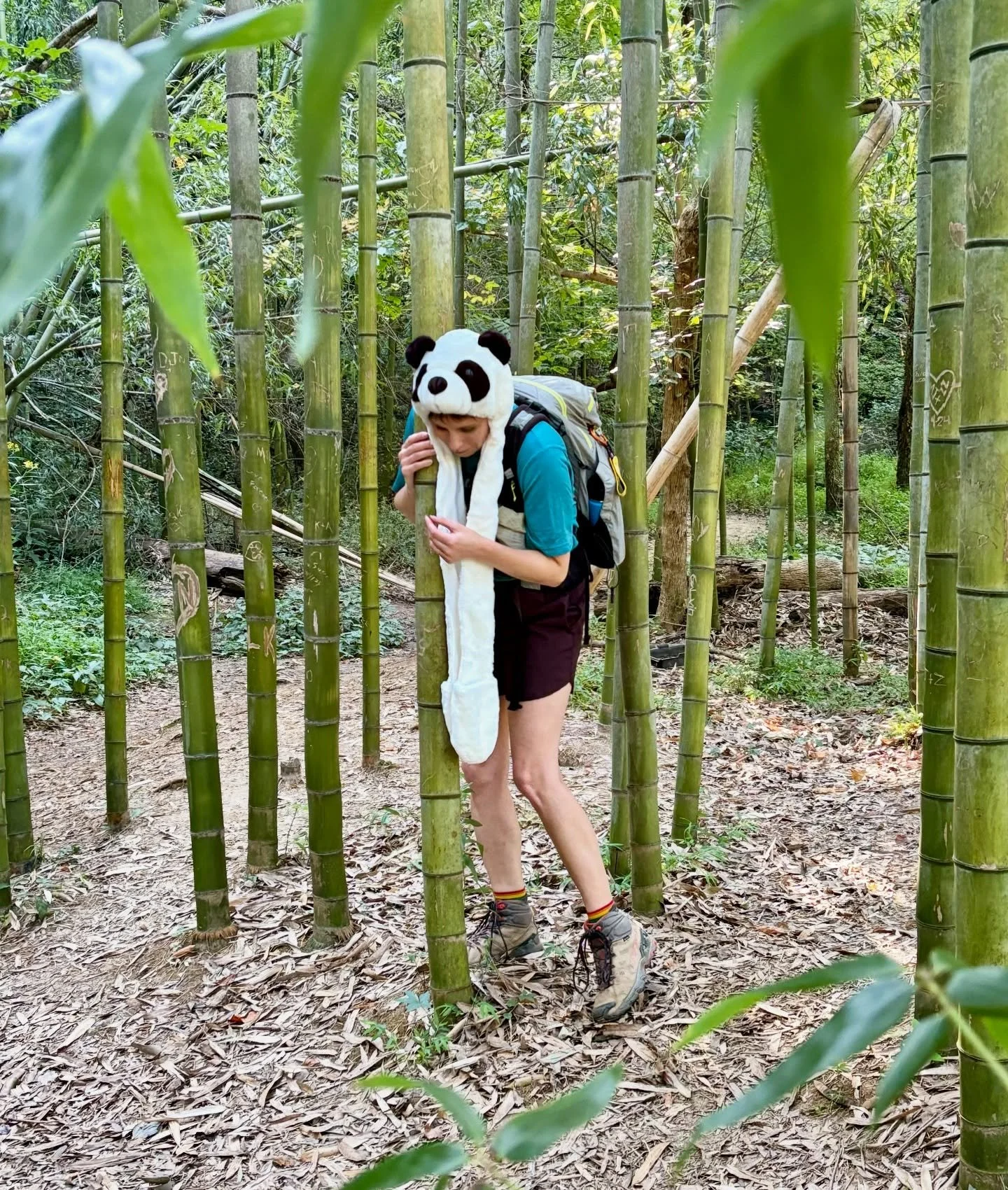Have you ever seen a panda in the wild?

I haven&rsquo;t either. 

But here&rsquo;s the next best thing!

Join Peaks &amp; Geeks this Sunday (1/11) at the East Palisades Trail to hike to the beautiful bamboo forest!  Also, it&rsquo;s a Pay What You C