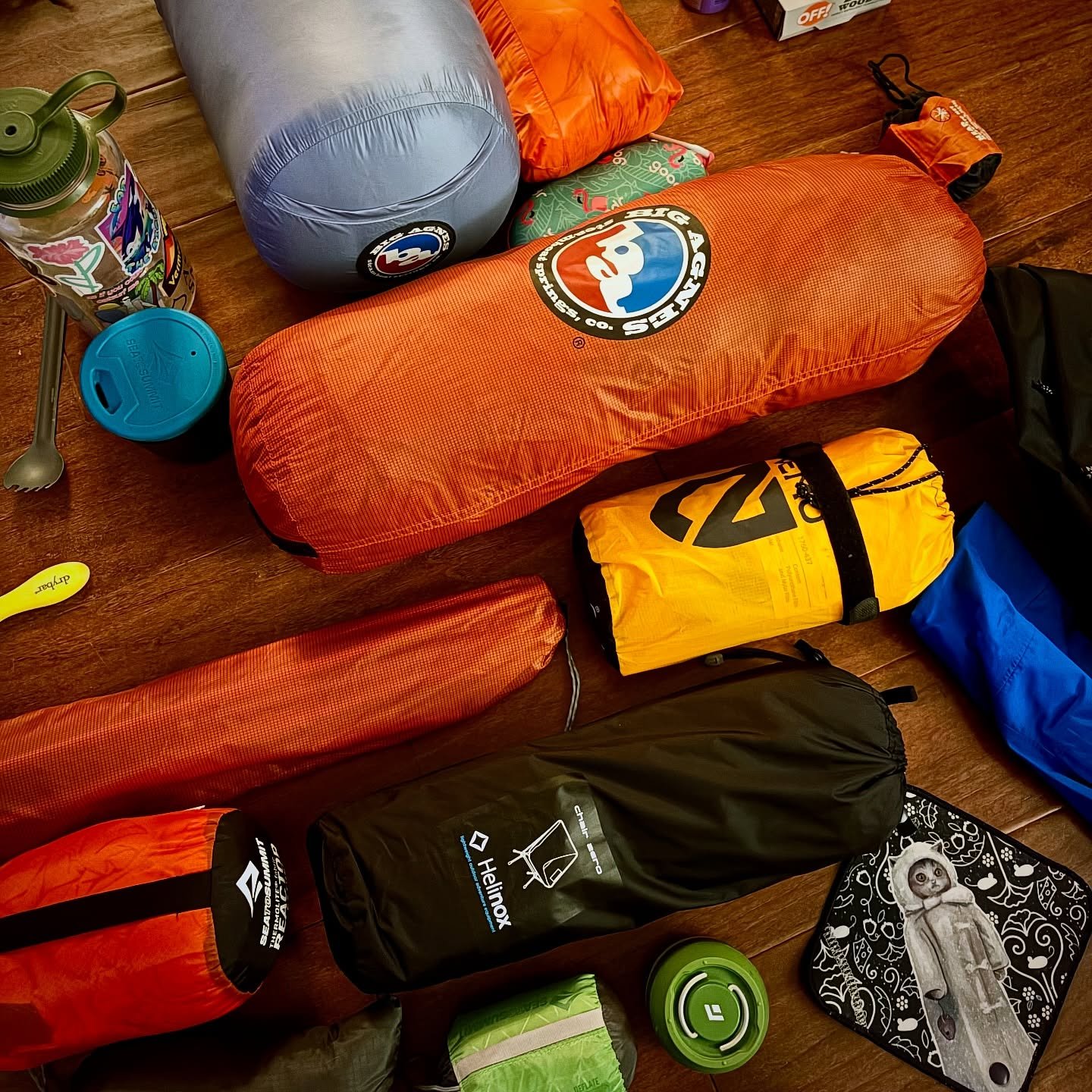 Cumberland Island bound!

Am I carrying 30 lbs. so I can eat like a medieval king in the woods?  Don&rsquo;t be ridiculous..it&rsquo;s much closer to 35 lbs.

Snacks packed: many
First aid kit: loaded
Kula: clothed
Toothbrush: circumcised (I have to 