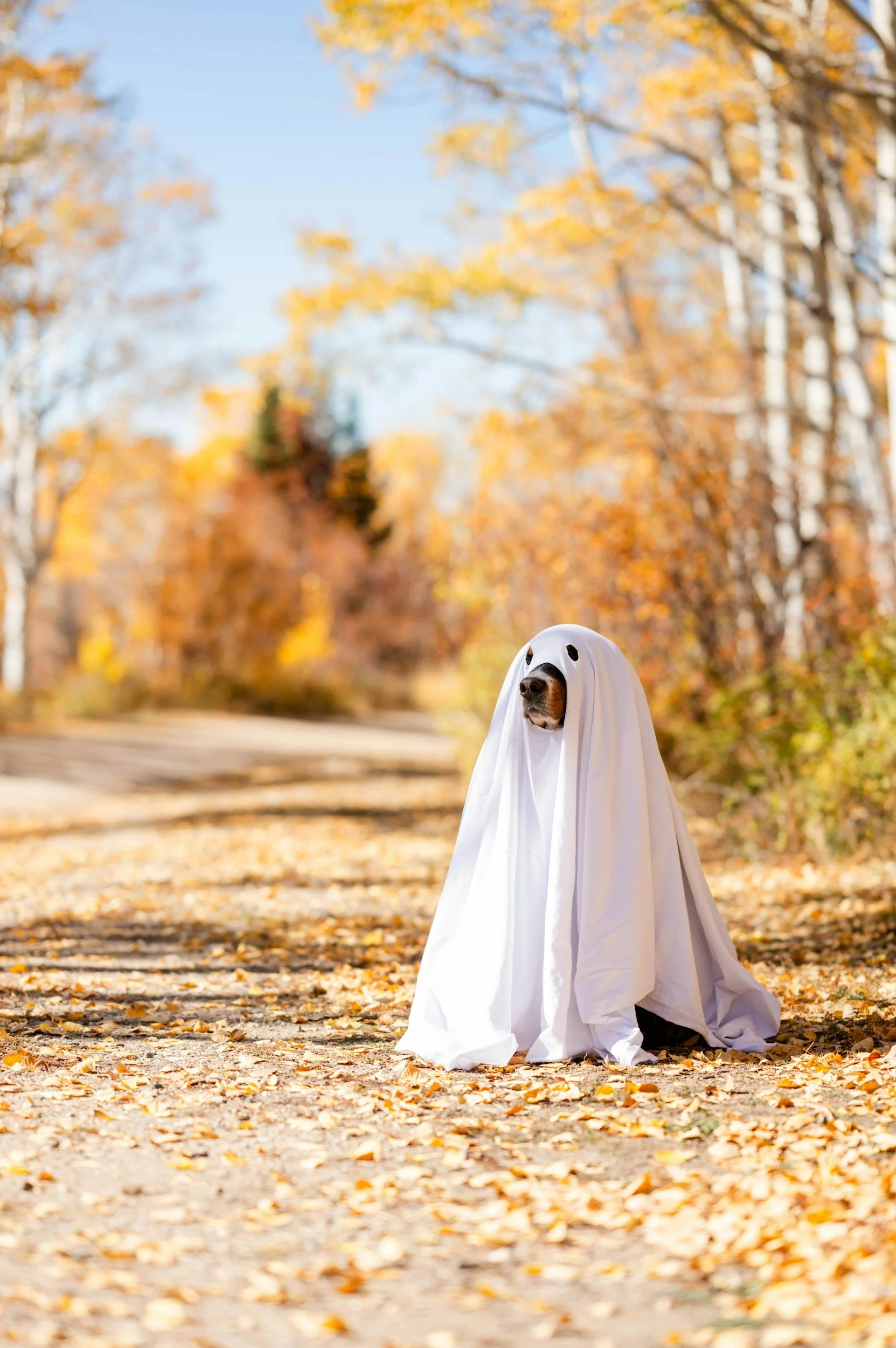 Halloween Hike 