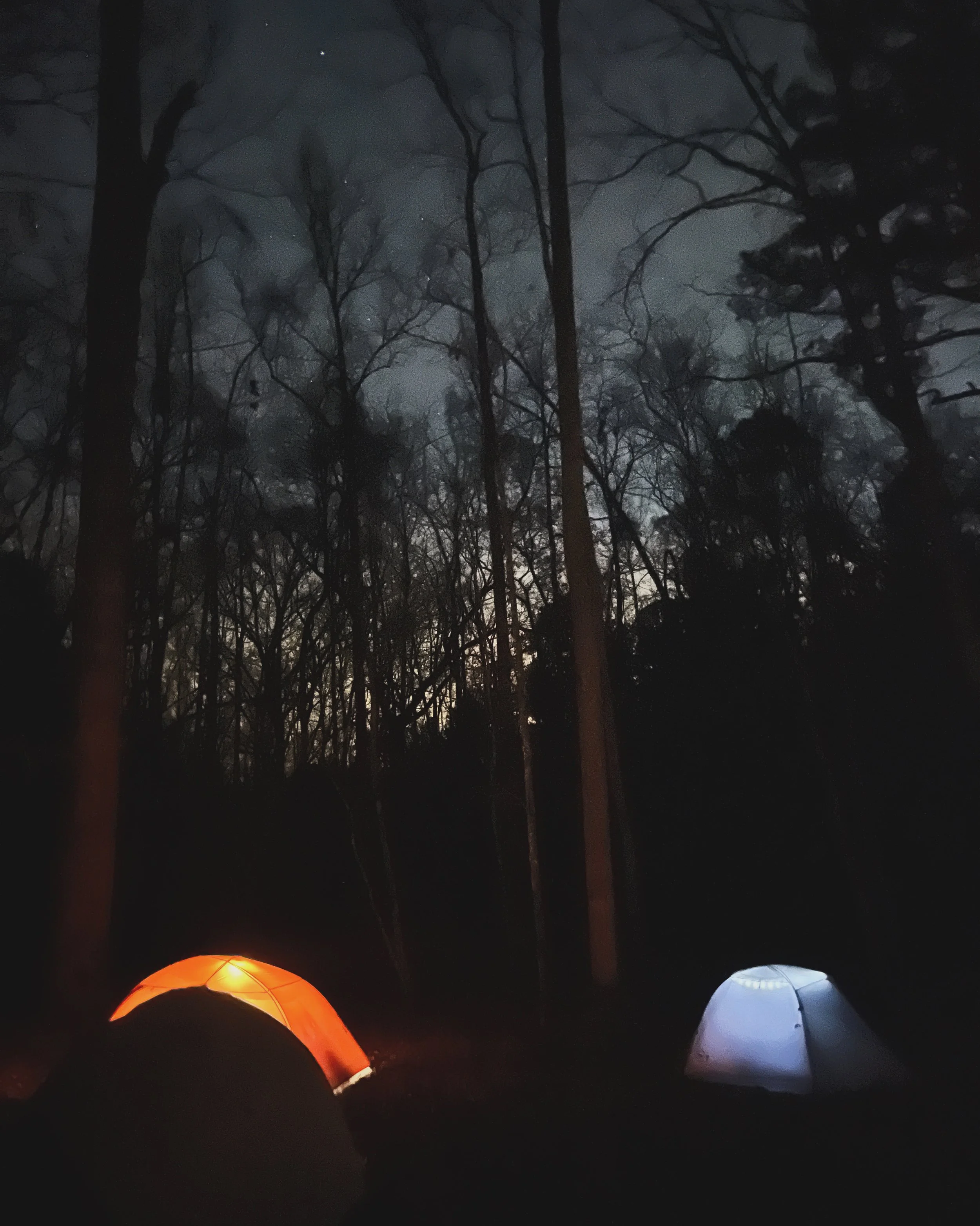 95A9D516-2B7F-41D4-B18C-9E6B42B855FF 3.JPG