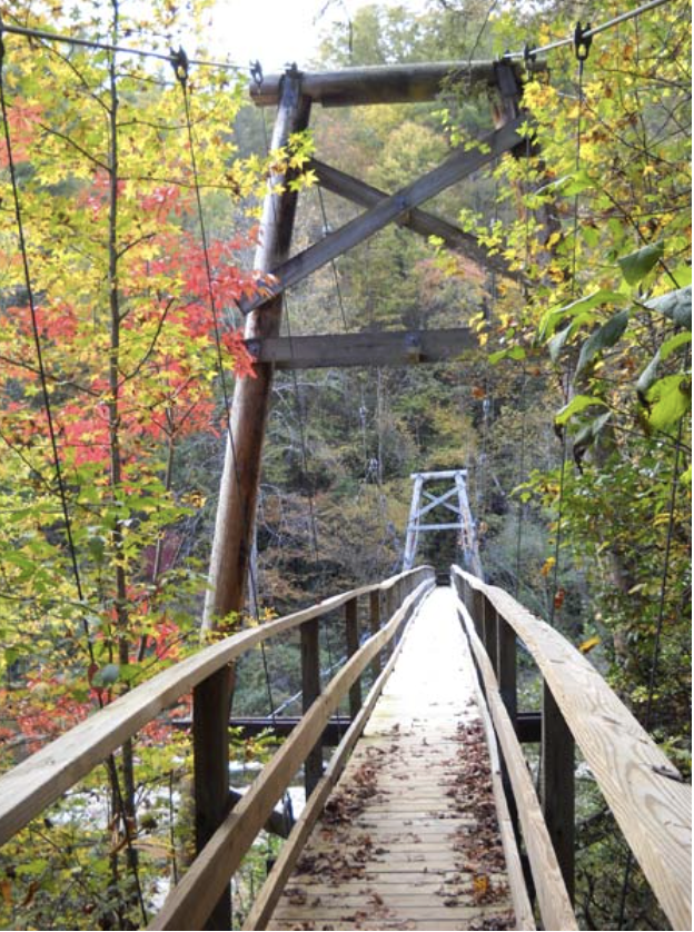 Screenshot 2026-02-18 at 3.31.27 PM.png