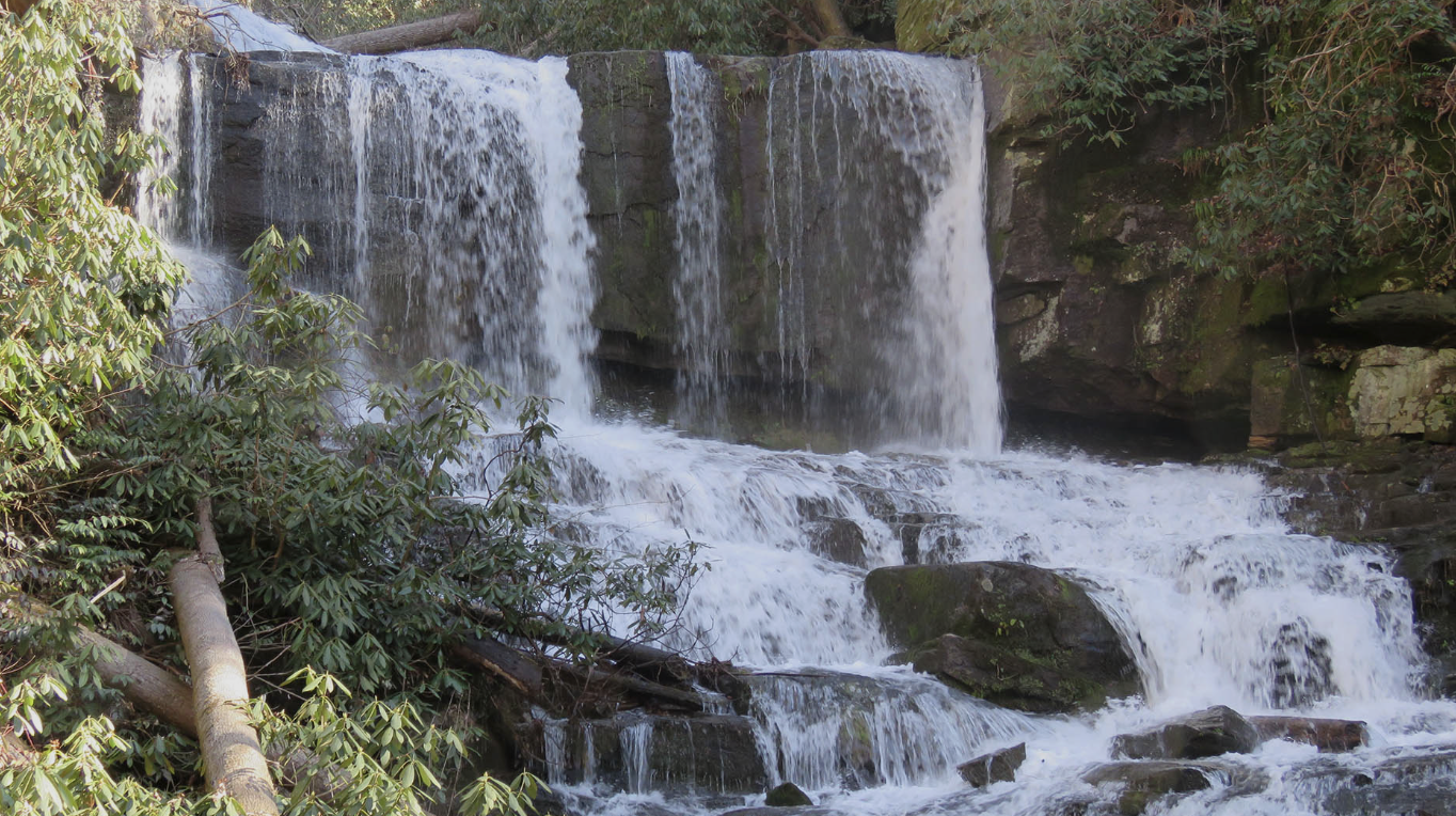 Screenshot 2026-02-18 at 3.34.55 PM.png