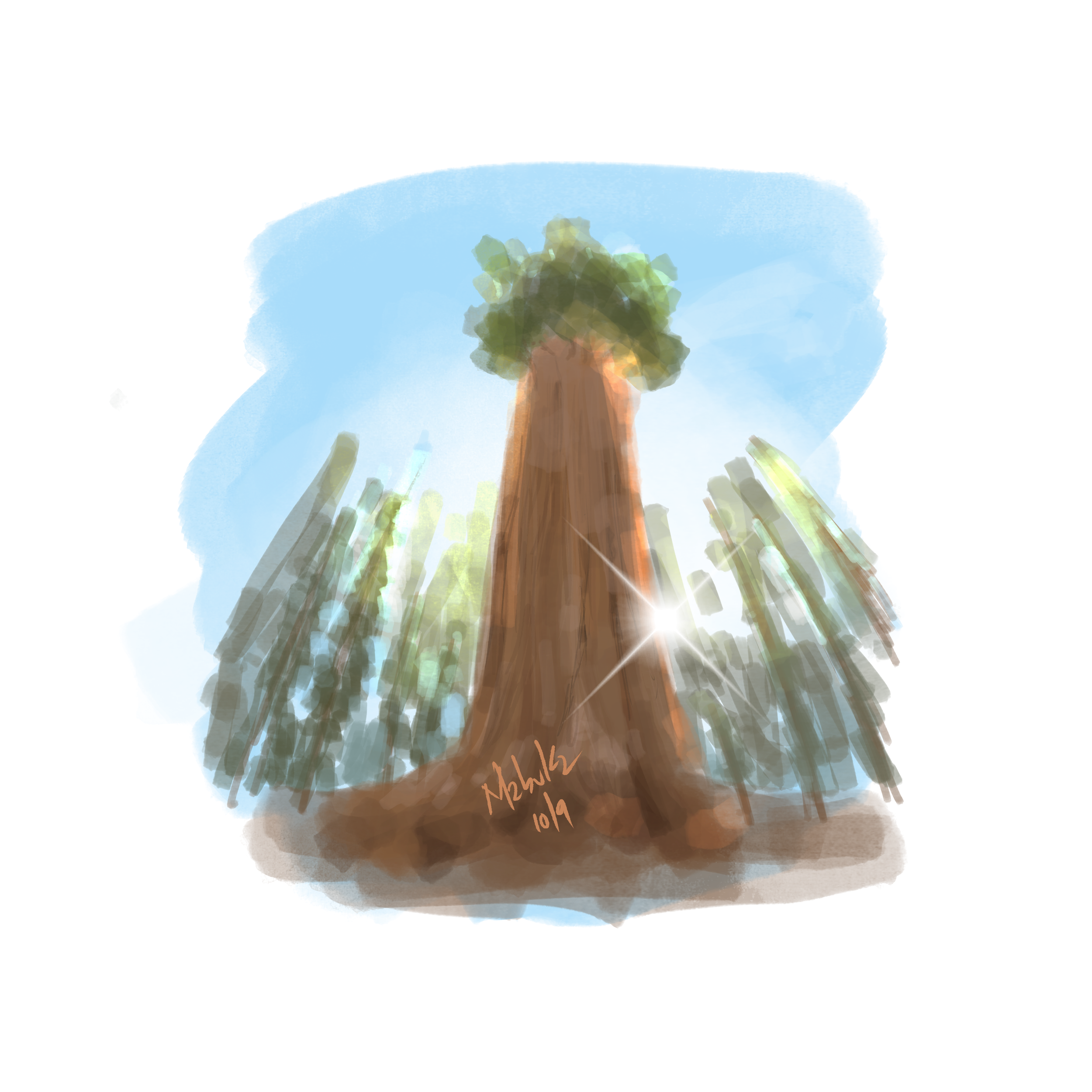 sequoia.png