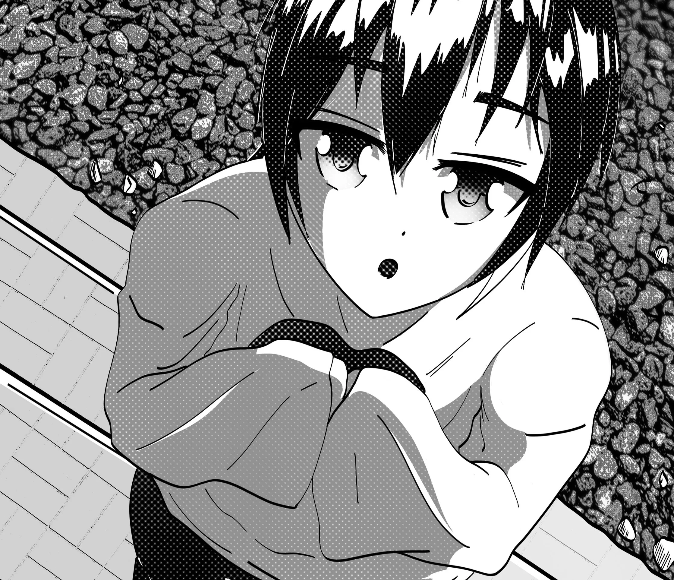 what-is-manga-project-trojan