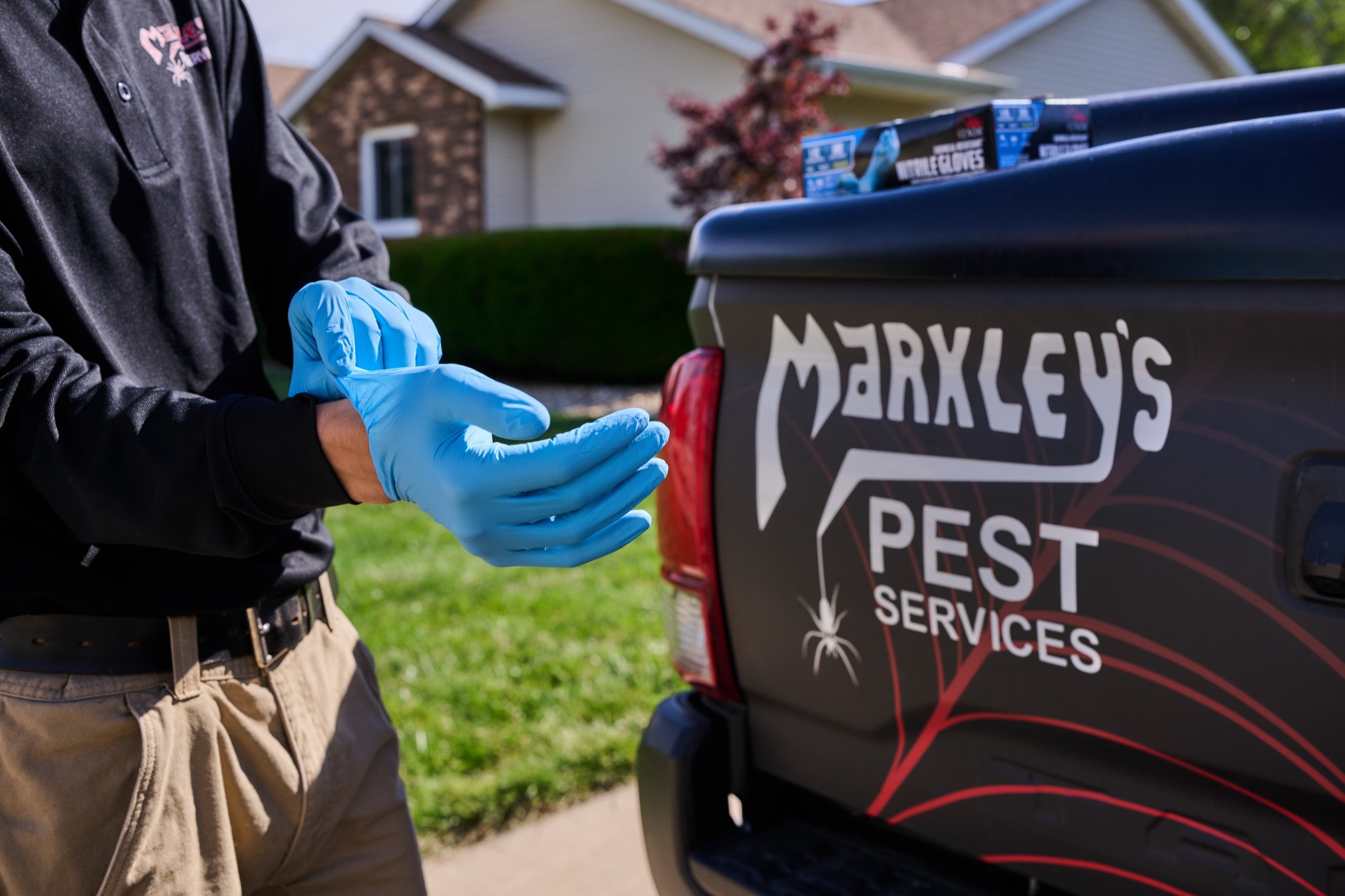 Termites Don’t Take the Winter Off: Sentricon Protection for Central Illinois Homes
