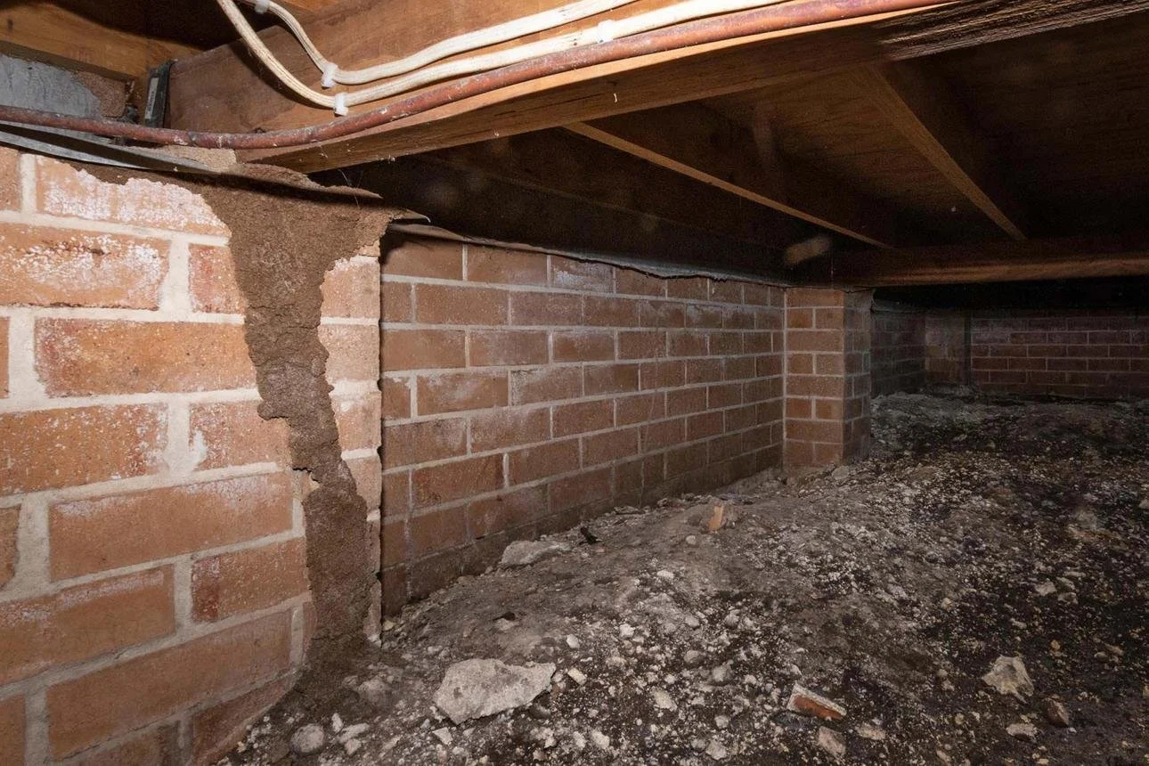 Moist wood in basement attracting termites in Illinois home