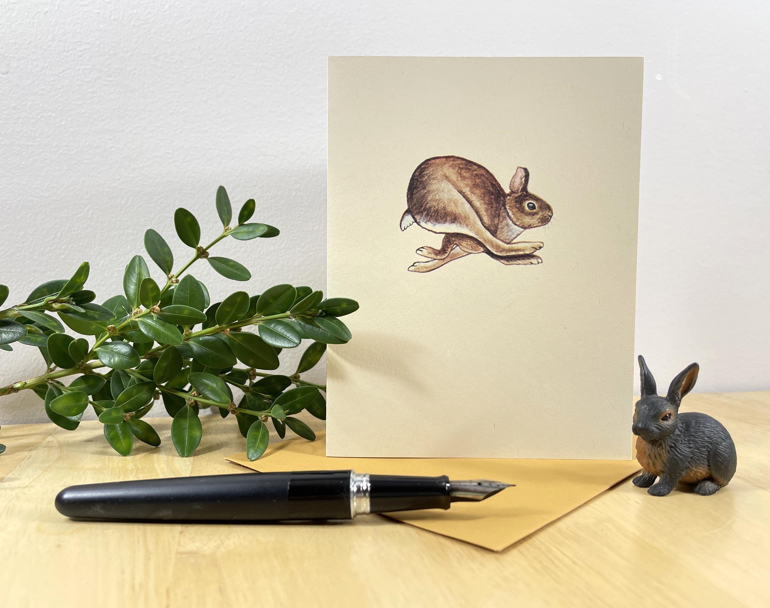 CottontailNotecard-1.jpg