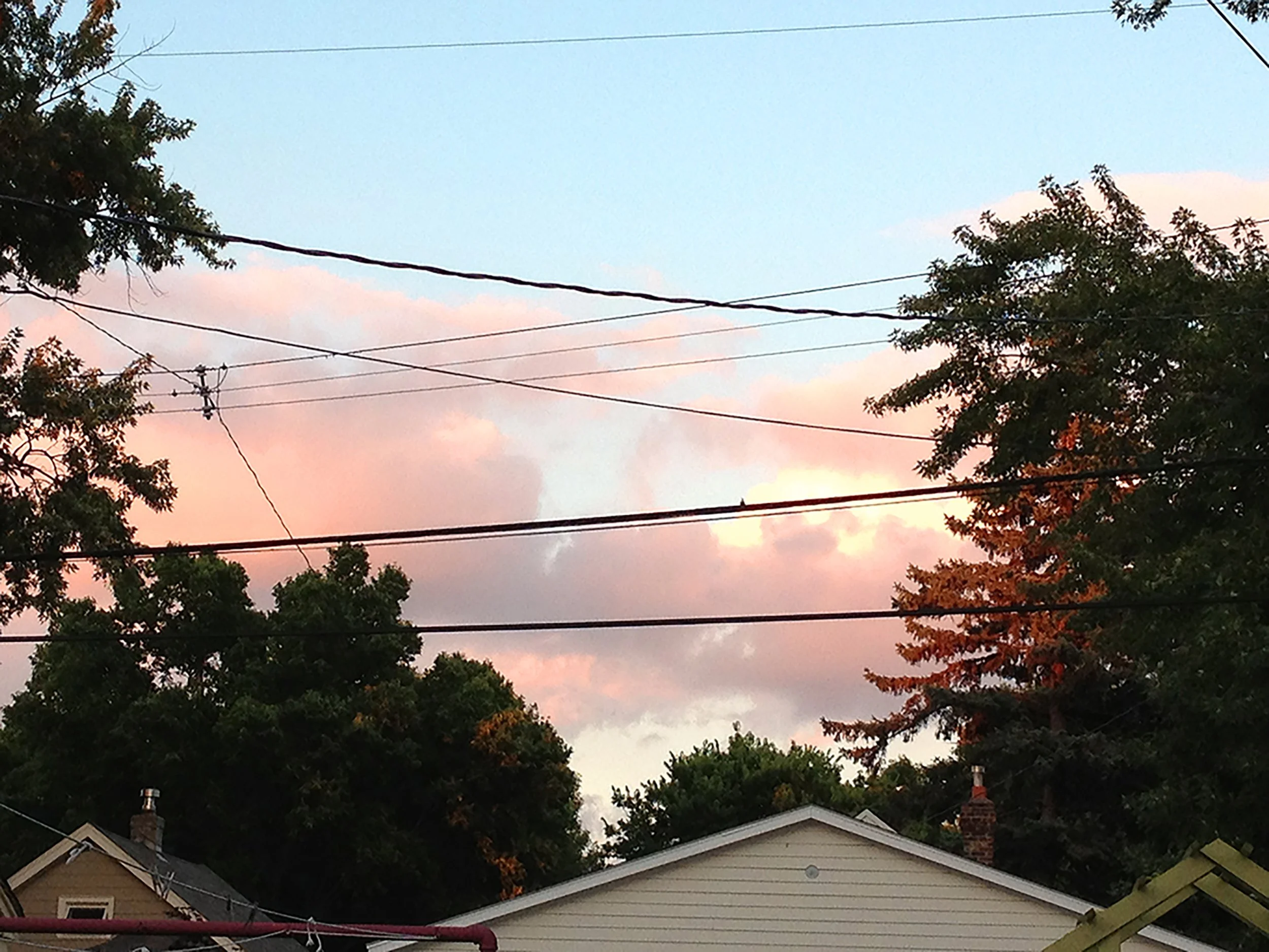 Power Line Mysteries and Musings