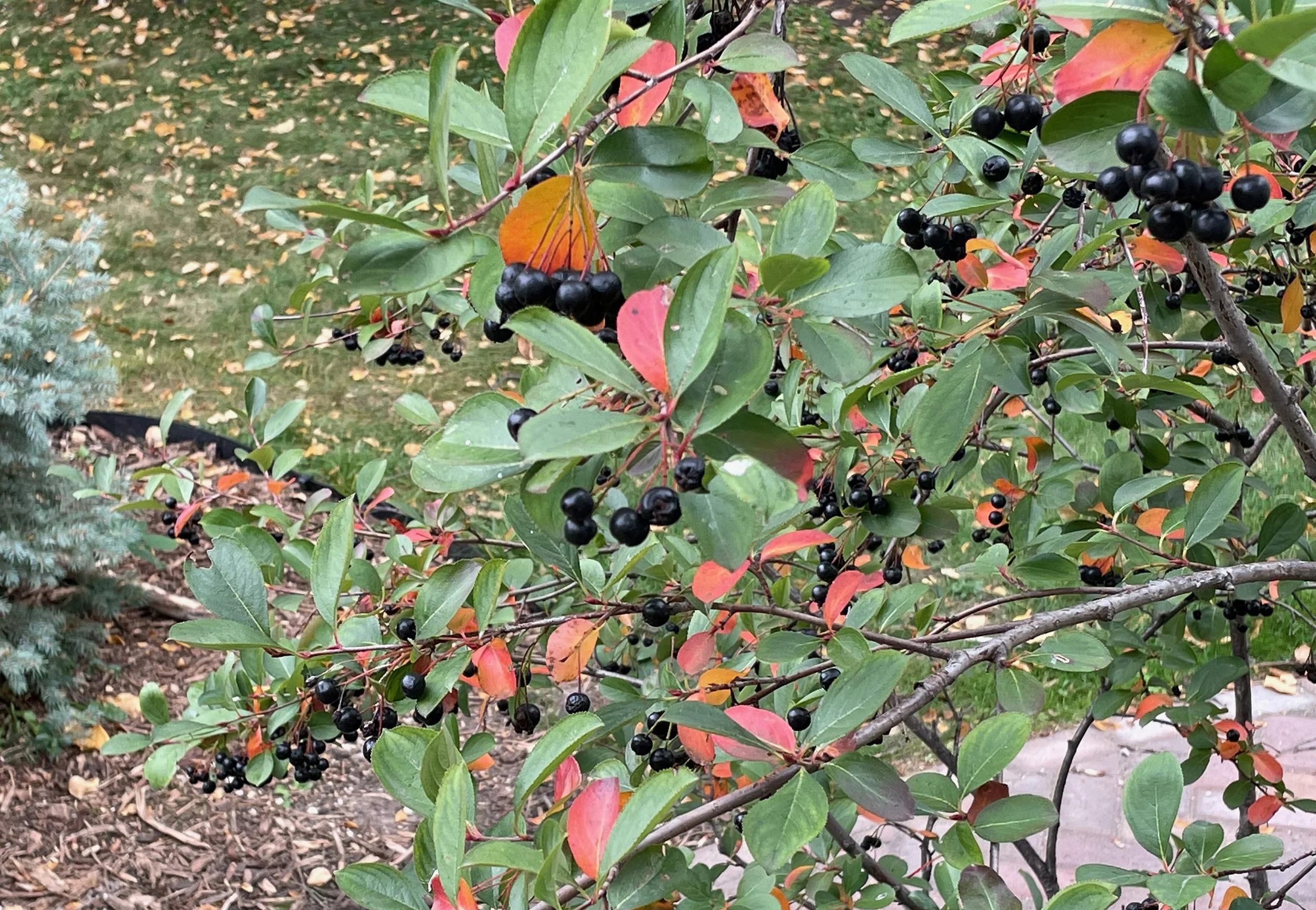 September: Change in the Air