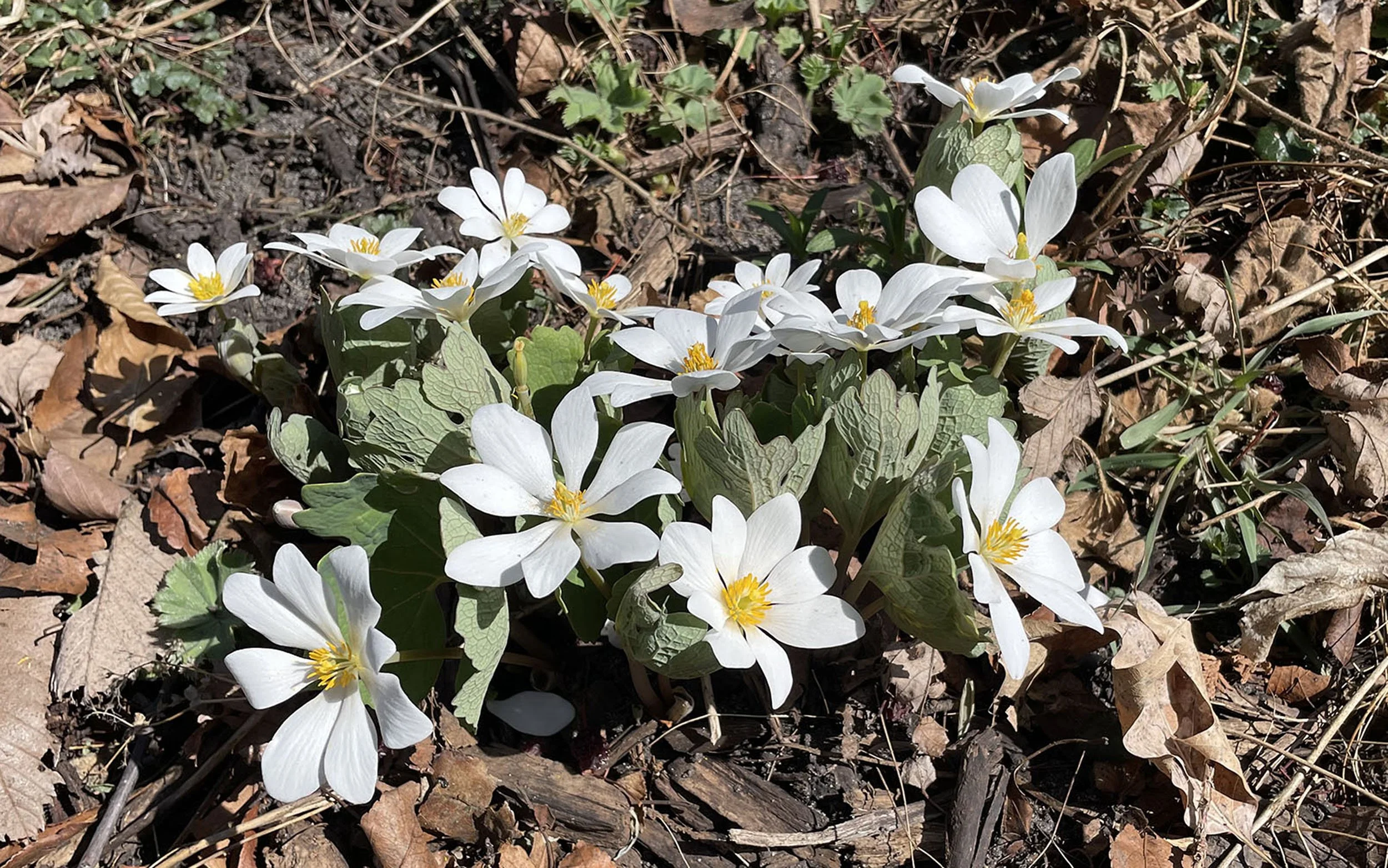 April Fooling Around and Finding Out