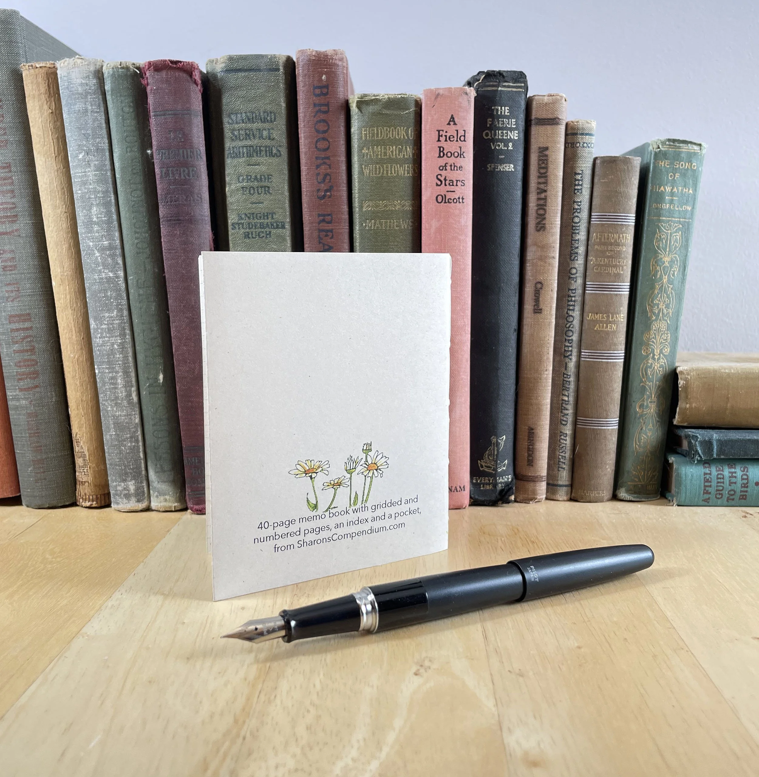 Notebook-StDrogo-4.jpg
