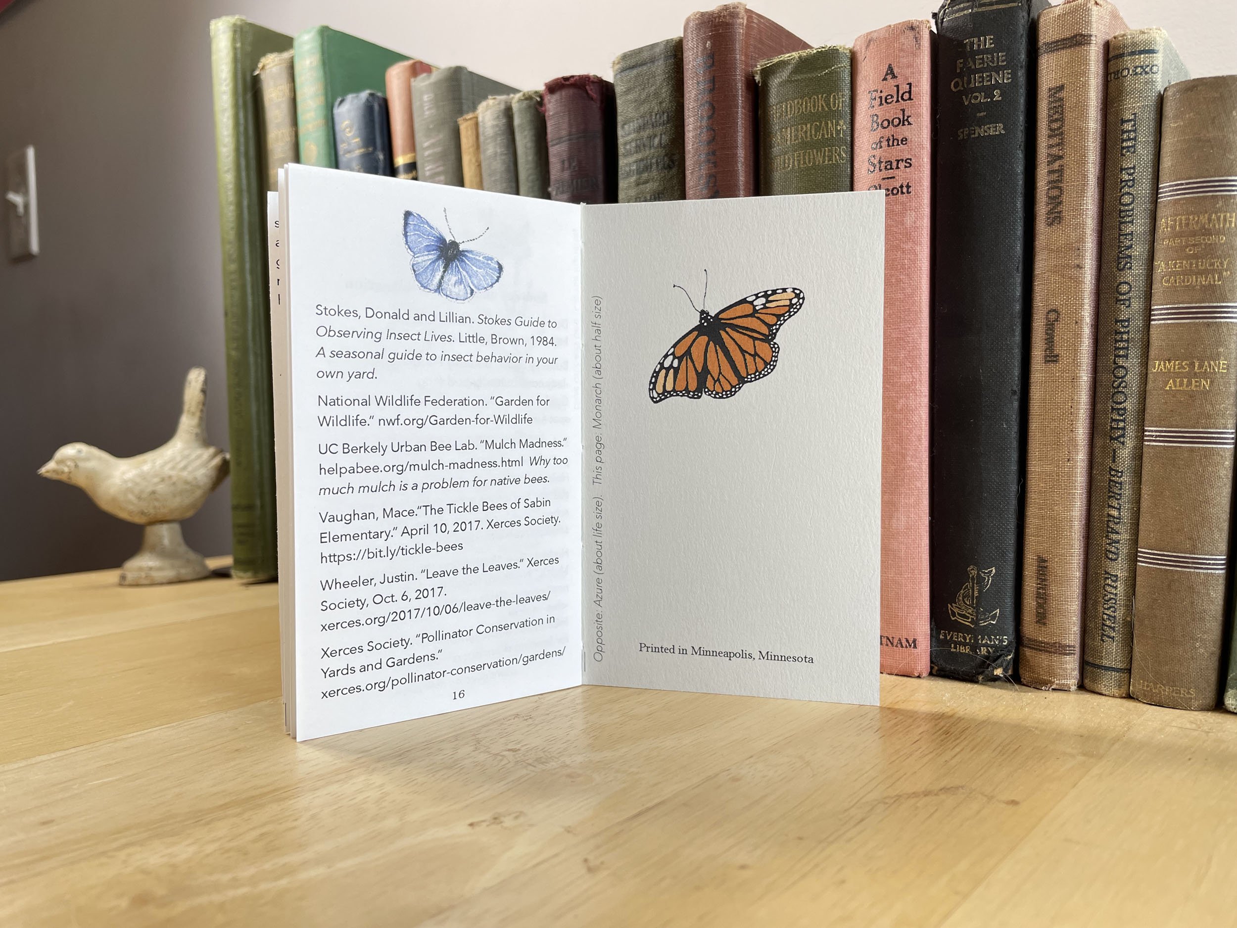 ButterflyGardening2-4.jpg