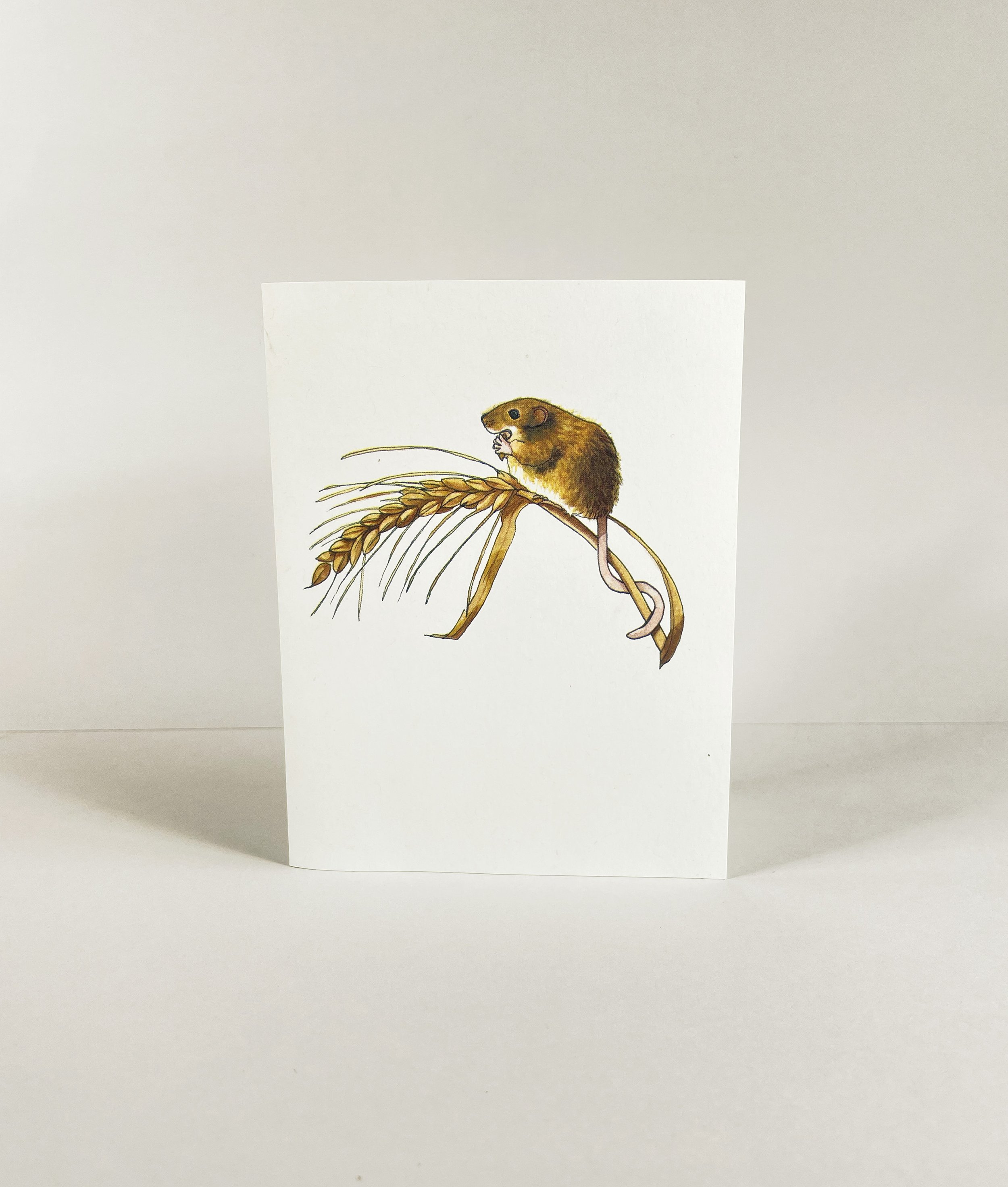 HarvestMouseCardMN-1.jpg