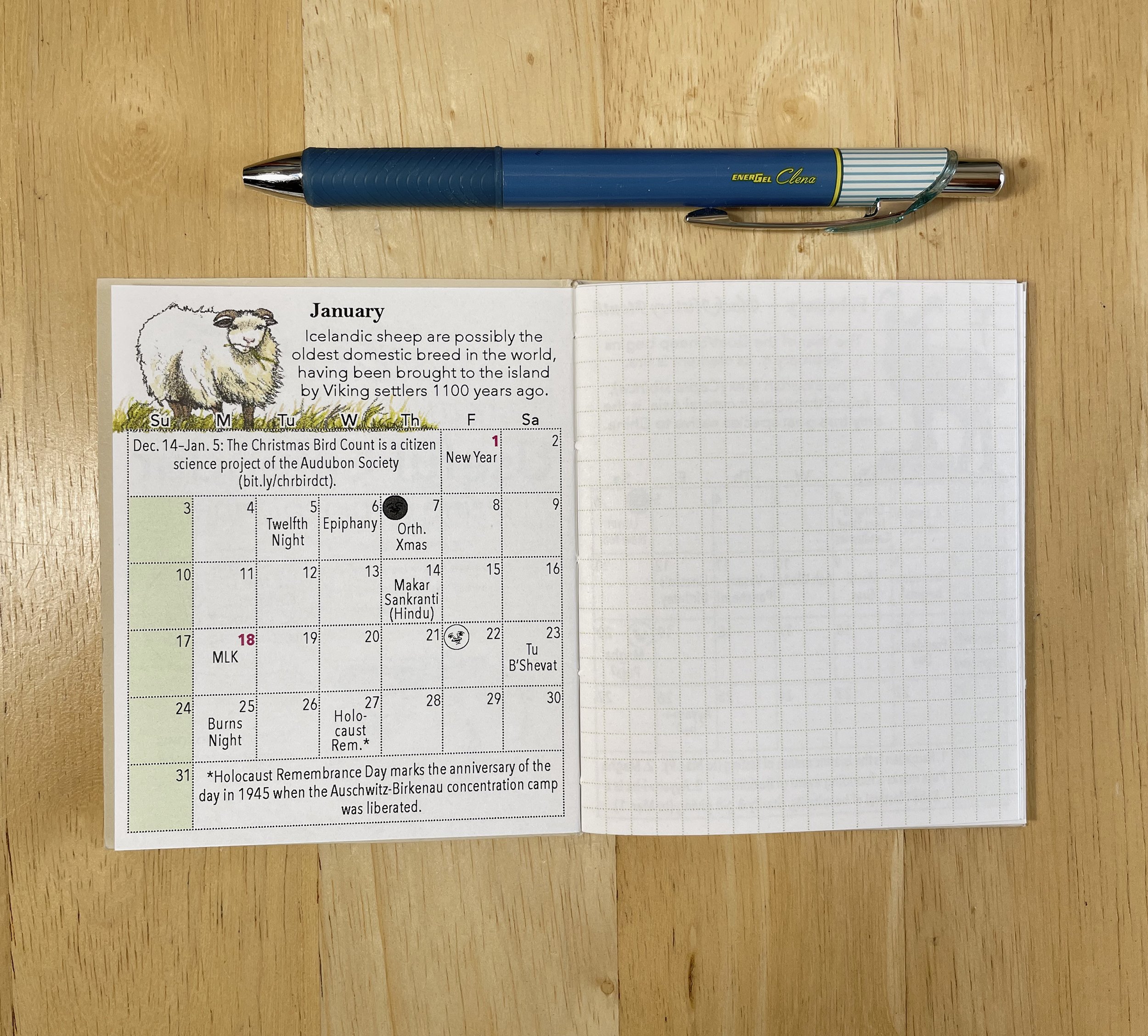 2027MiniPlanner-4.jpg
