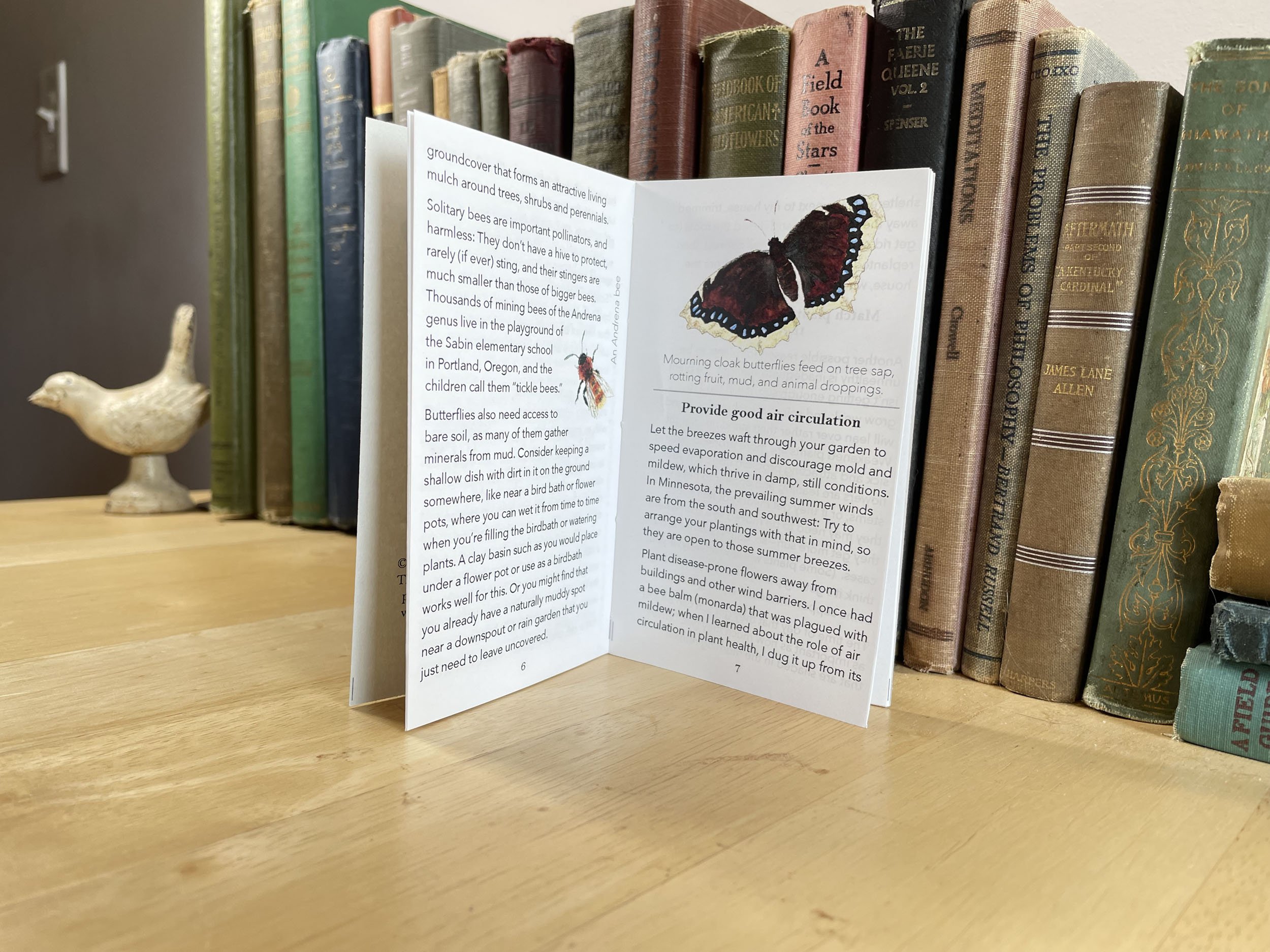 ButterflyGardening2-3.jpg