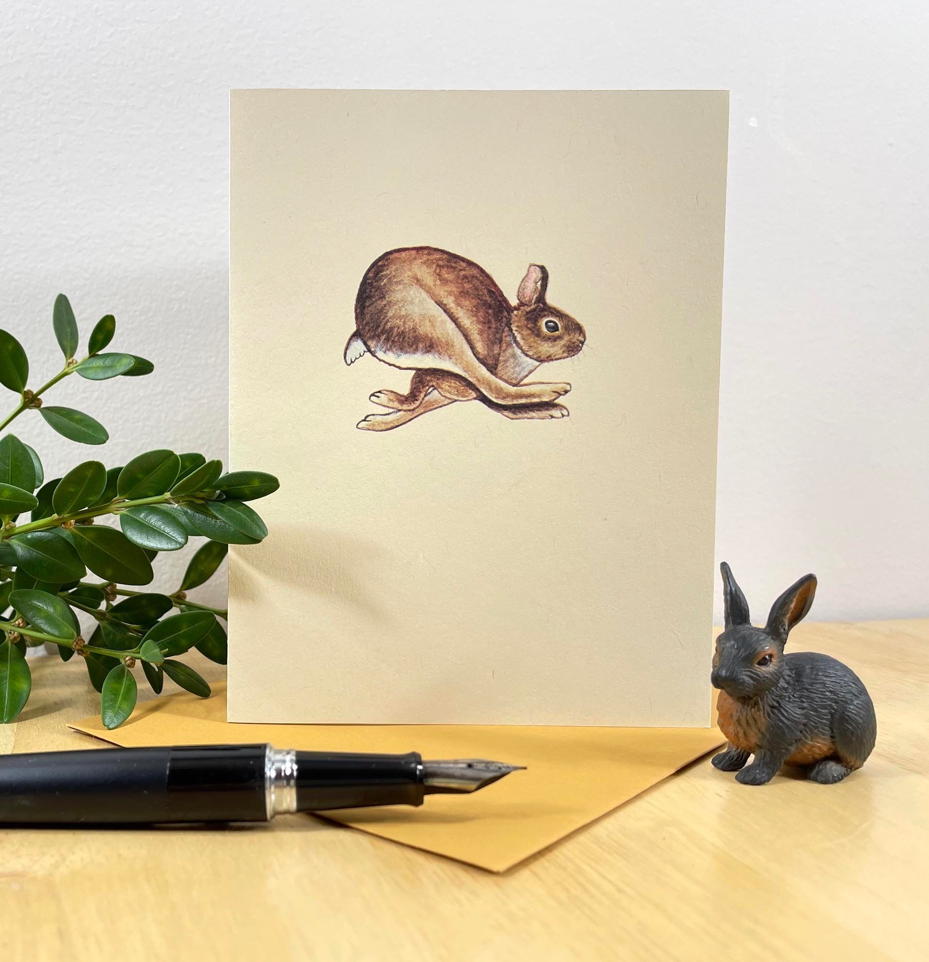 Cottontail rabbit notecard