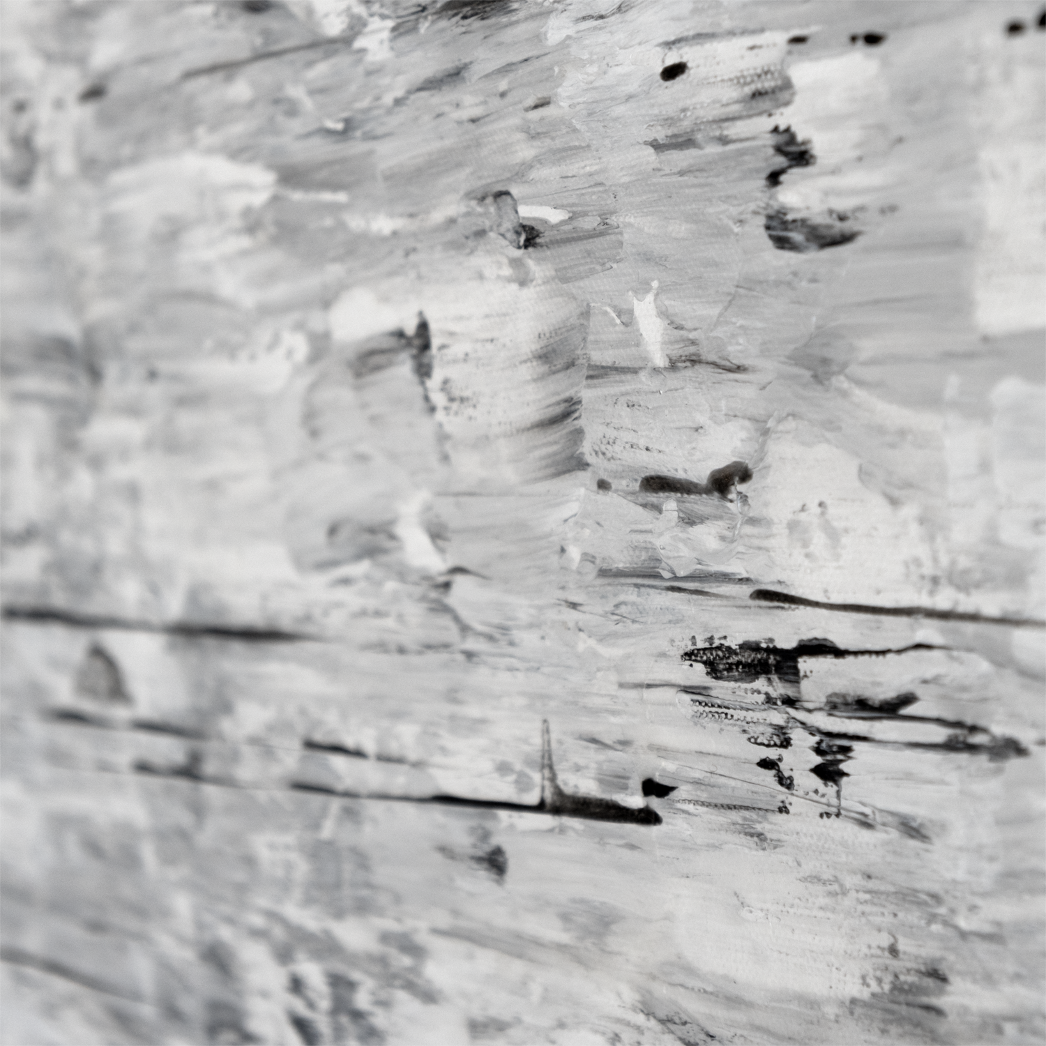 AKBruce-Birch-Detail.png