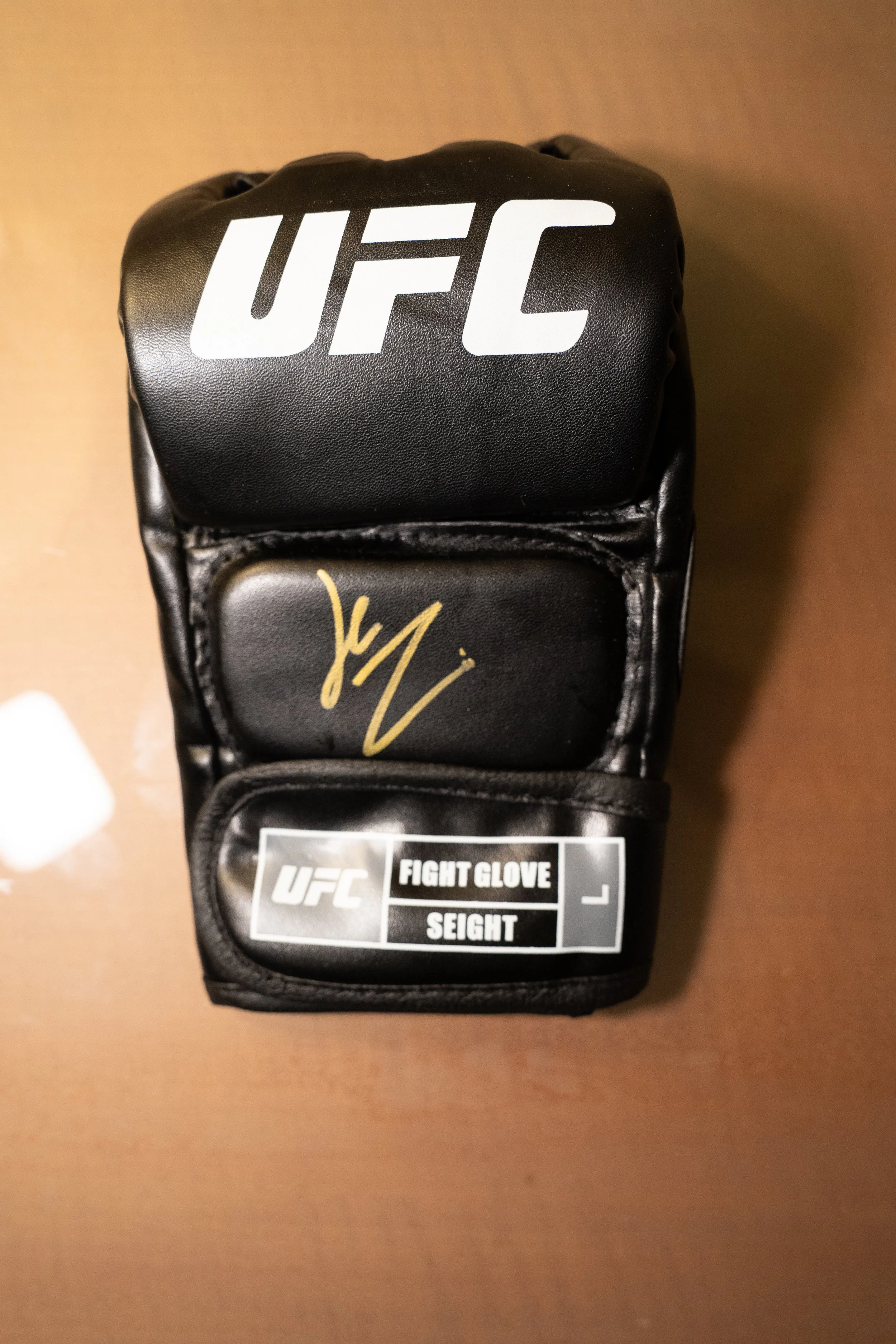 THE KOREAN ZOMBIE AUTOGRAPHED GLOVE (PSA)