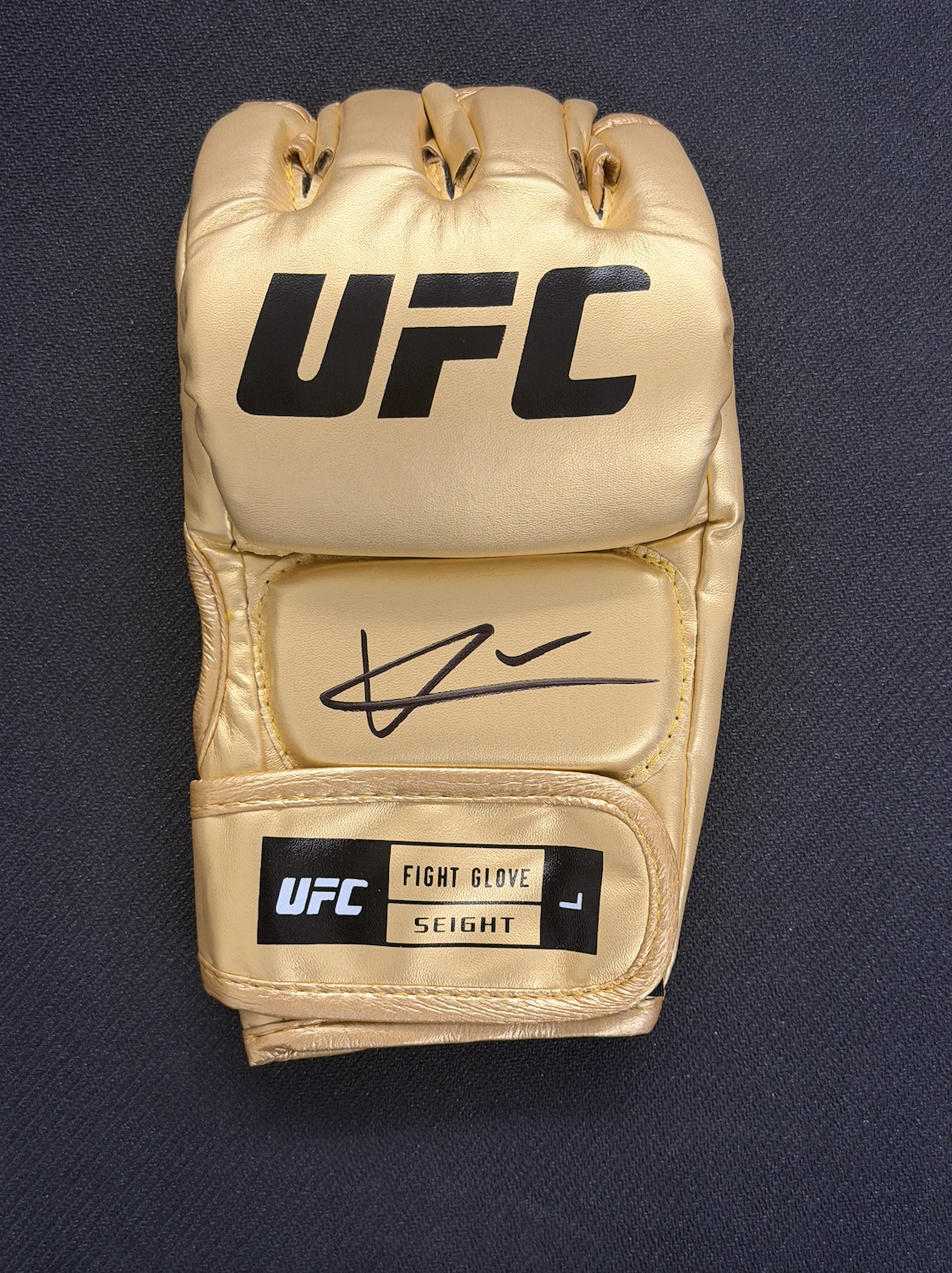 QUILLAN SALKILLD AUTOGRAPHED GLOVE GOLD