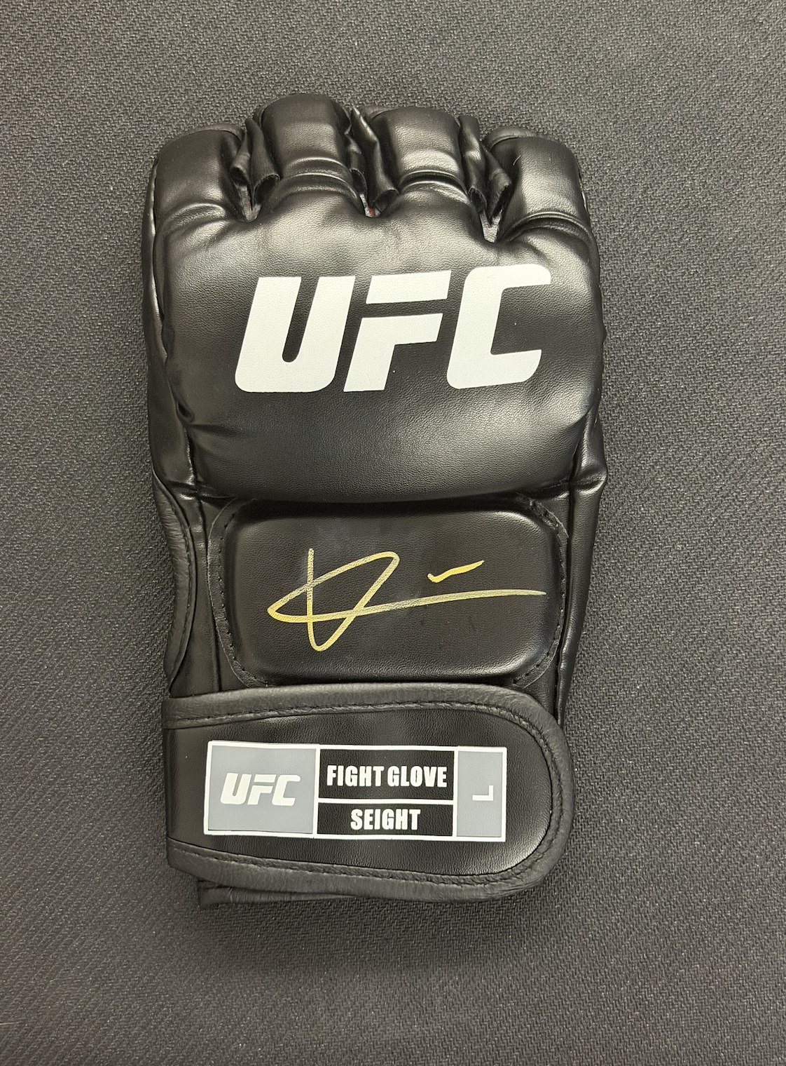 QUILLAN SALKILLD AUTOGRAPHED GLOVE BLACK