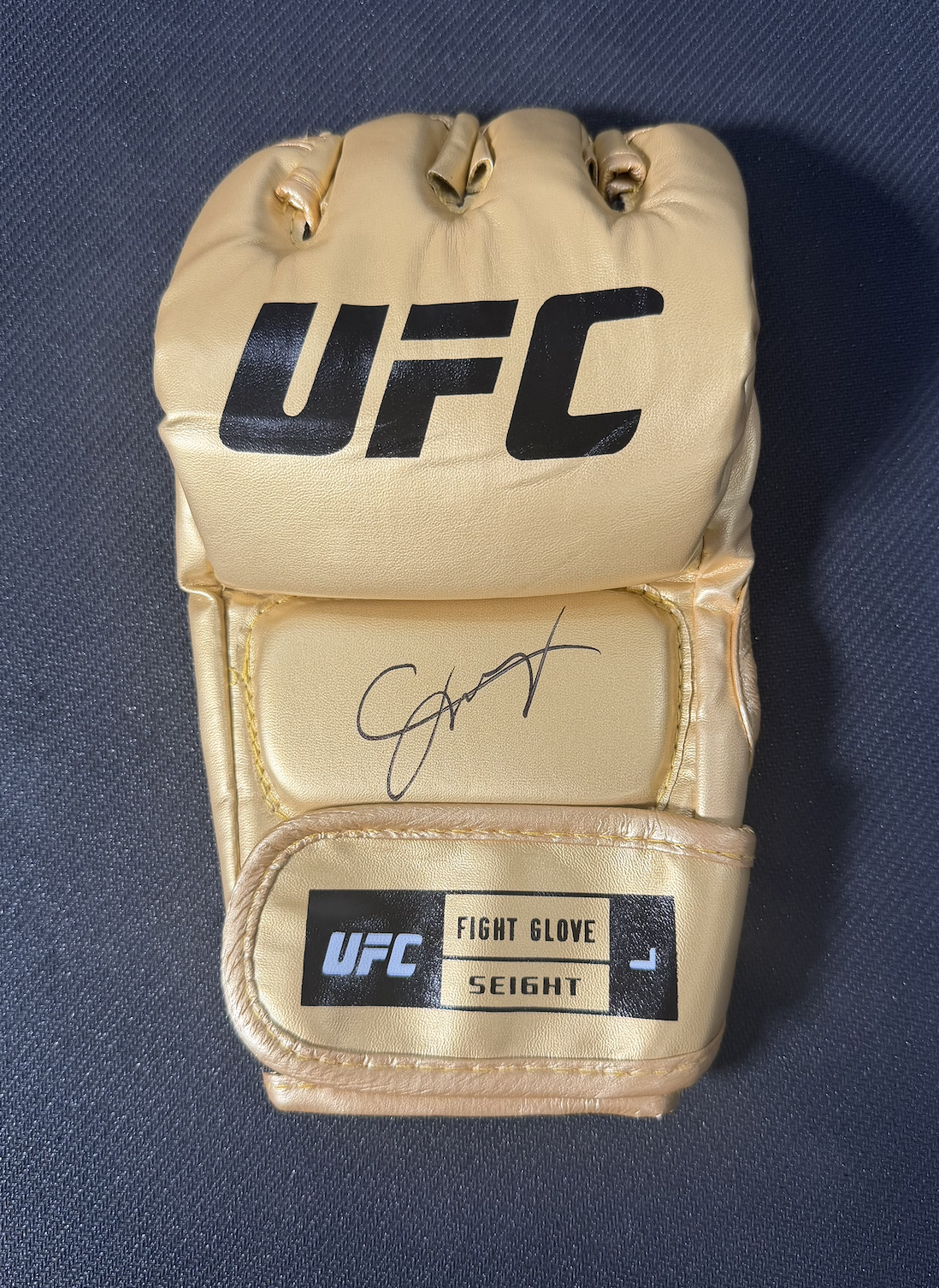 CARLOS PRATES AUTOGRAPHED GLOVE GOLD (PSA)