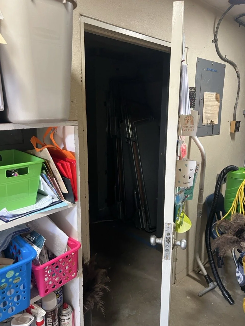 IMG_8692 2 Large.jpeg