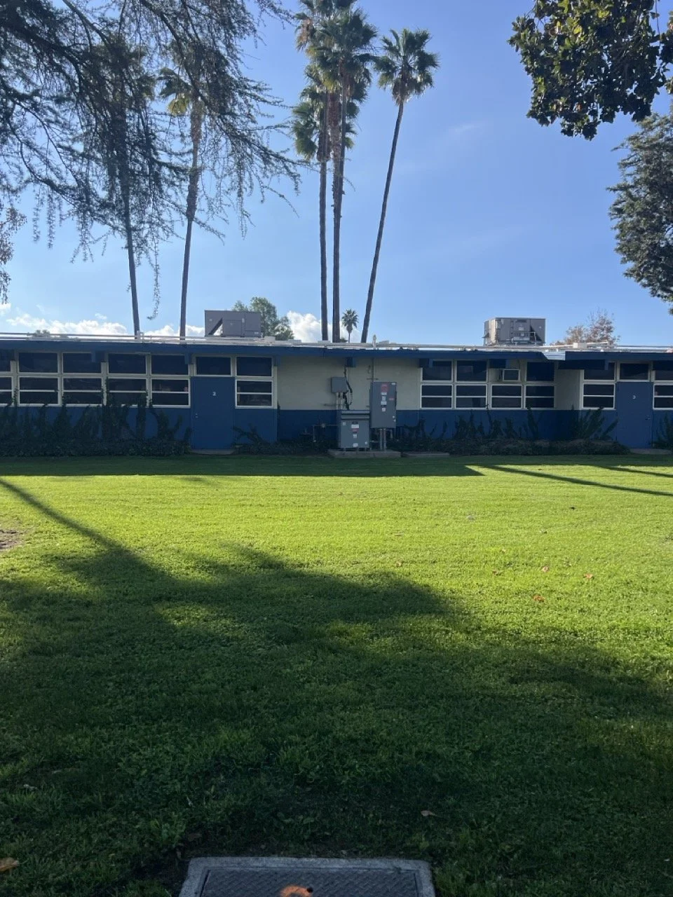 IMG_8684 2 Large.jpeg