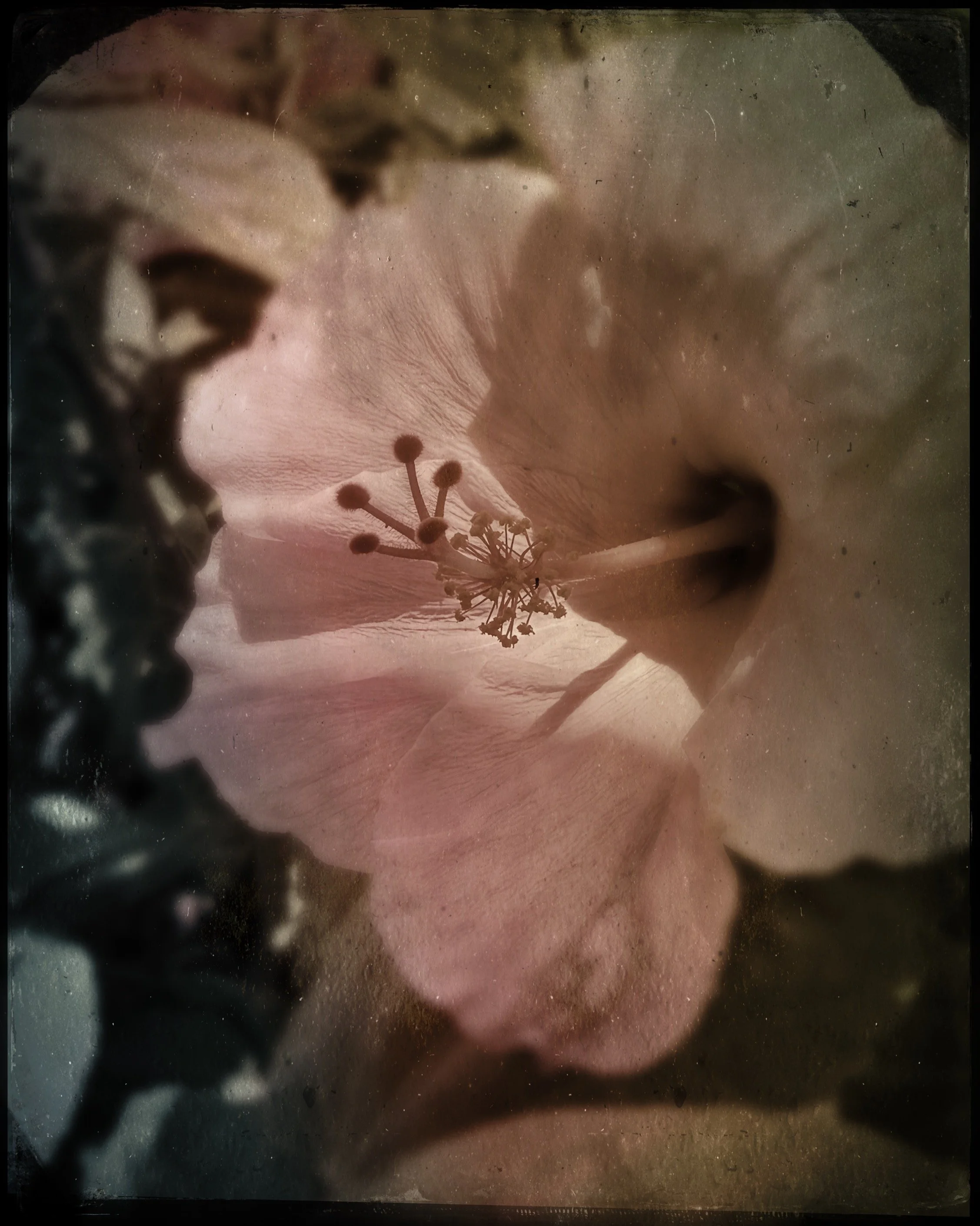 HipstamaticPhoto-799558717.339220.jpg