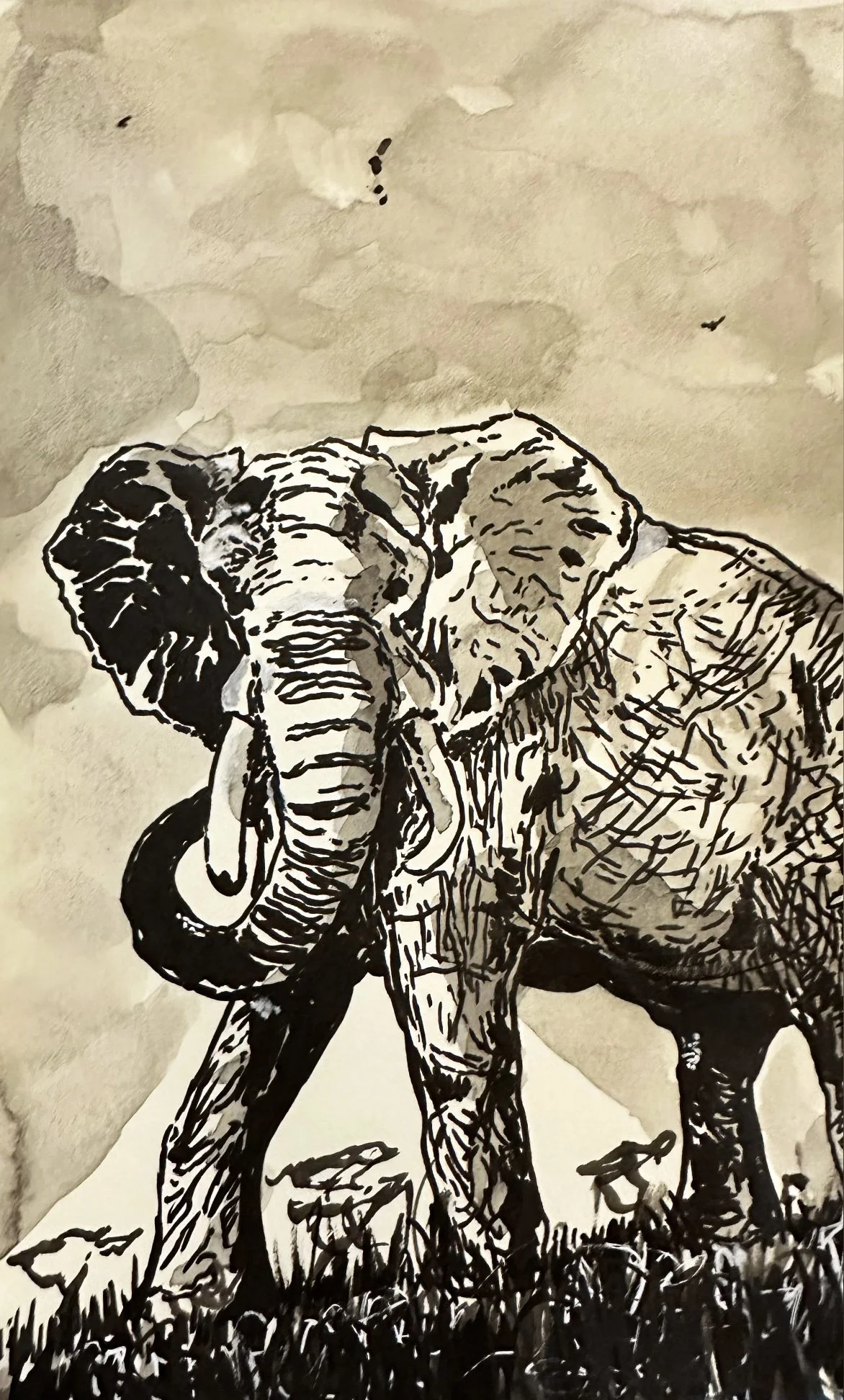 African Elephant, Pen & Ink (9" x 12")