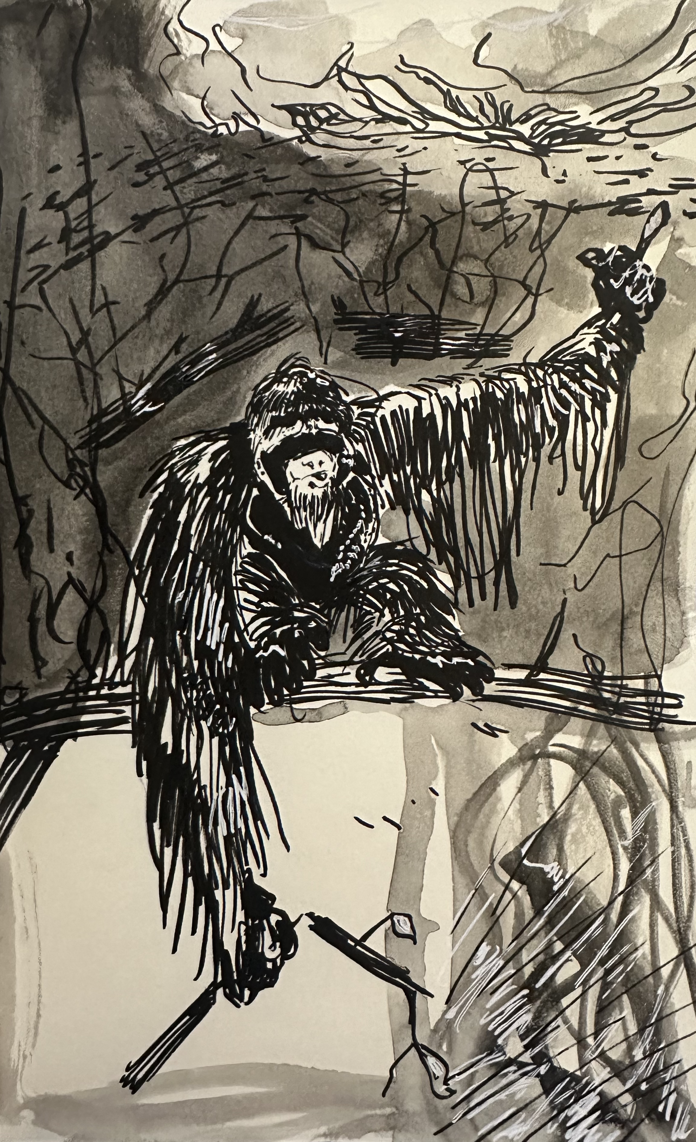 Sumatran Orangutan, Pen & Ink (9" x 12")