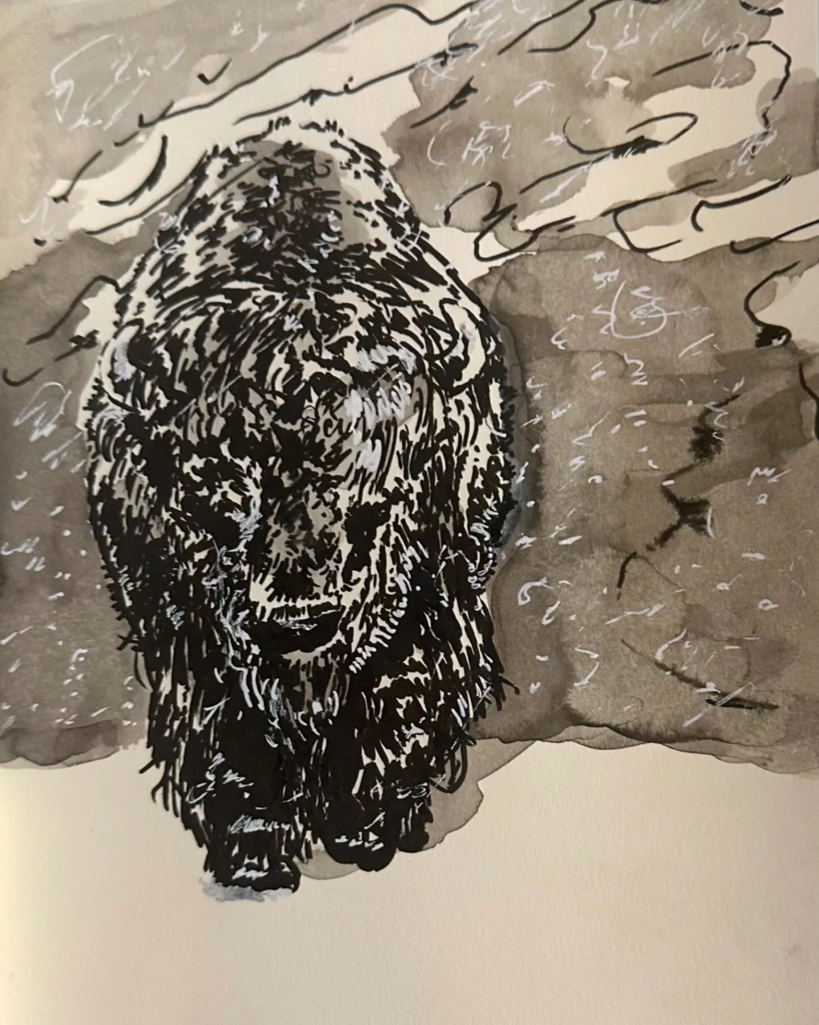 American Bison, Pen & Ink (9" x 12")