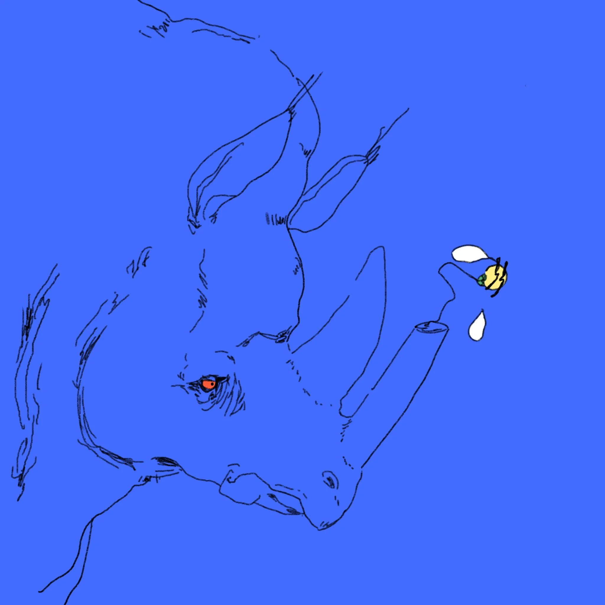 Black Rhino, Digital (2048 x 2048px)