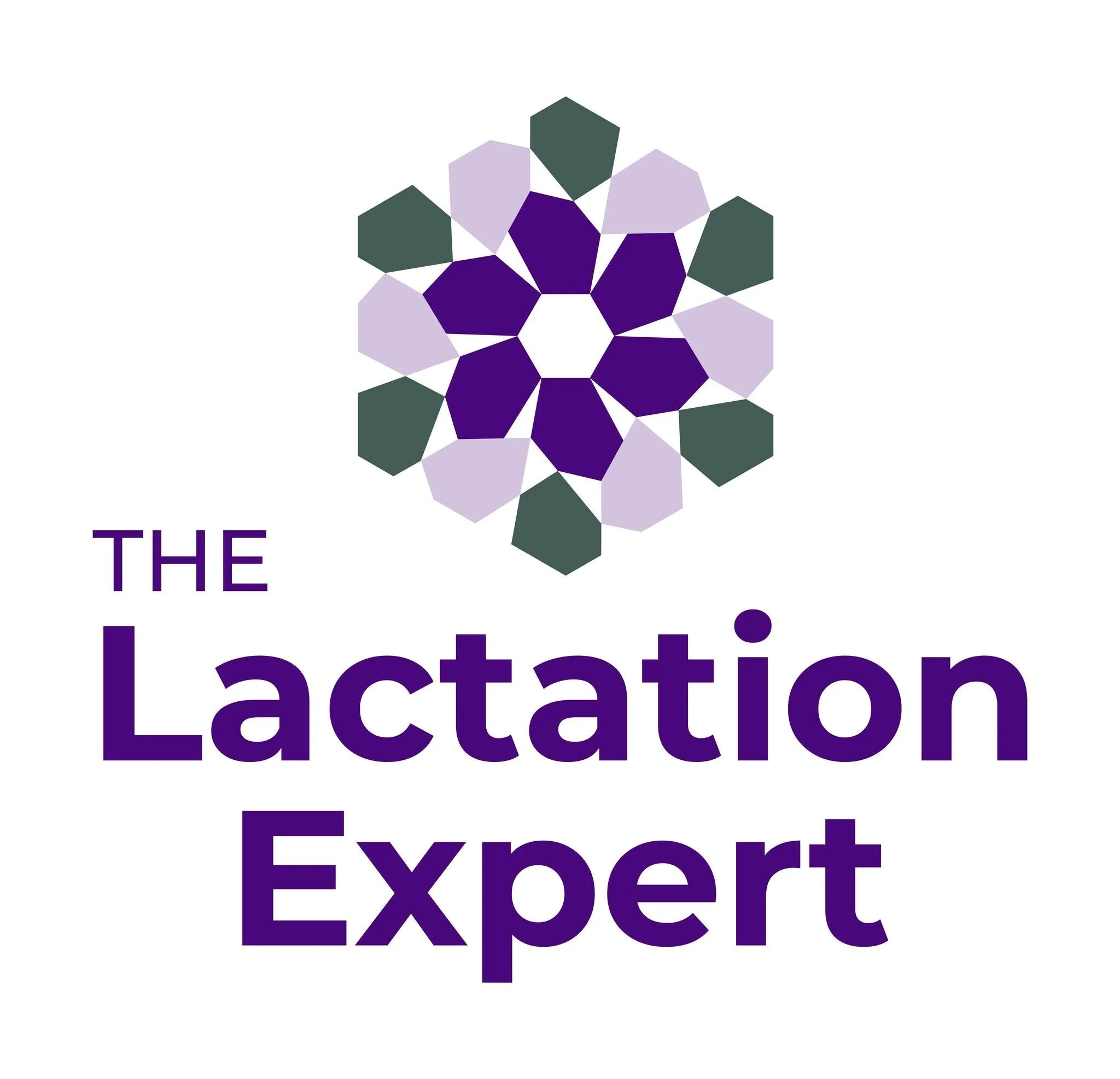 Logo featuring a purple and white geometric floral design above the text 'The Lactation Expert' in purple letters.