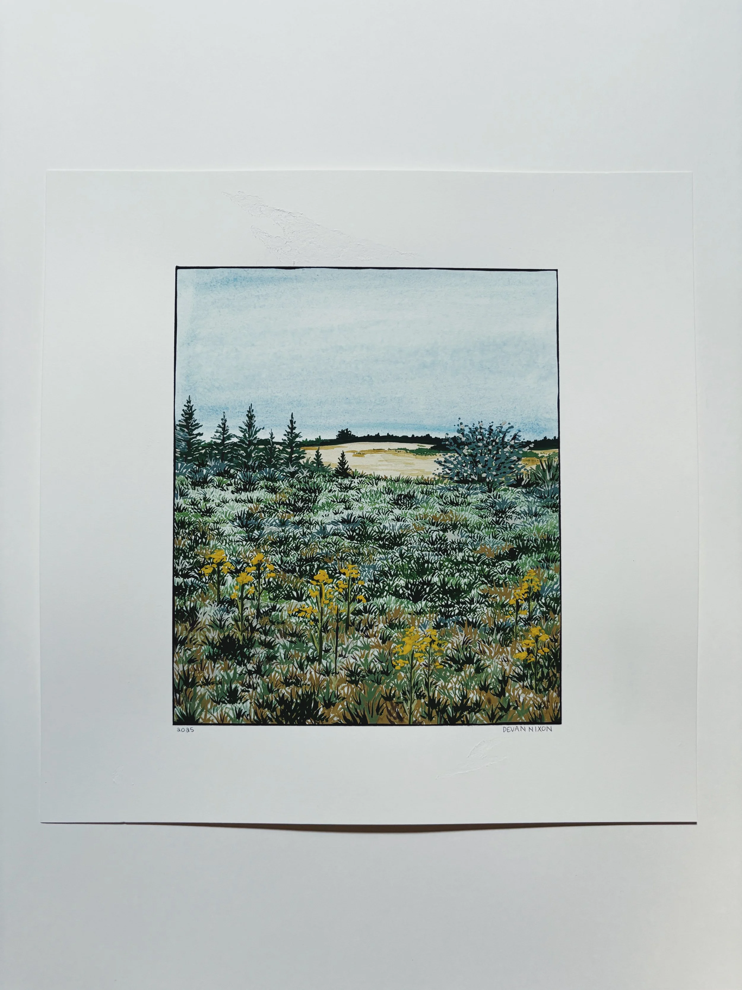 $250 | Santa Cruz Fall | Watercolor on hot press watercolor paper | 8 x 10 