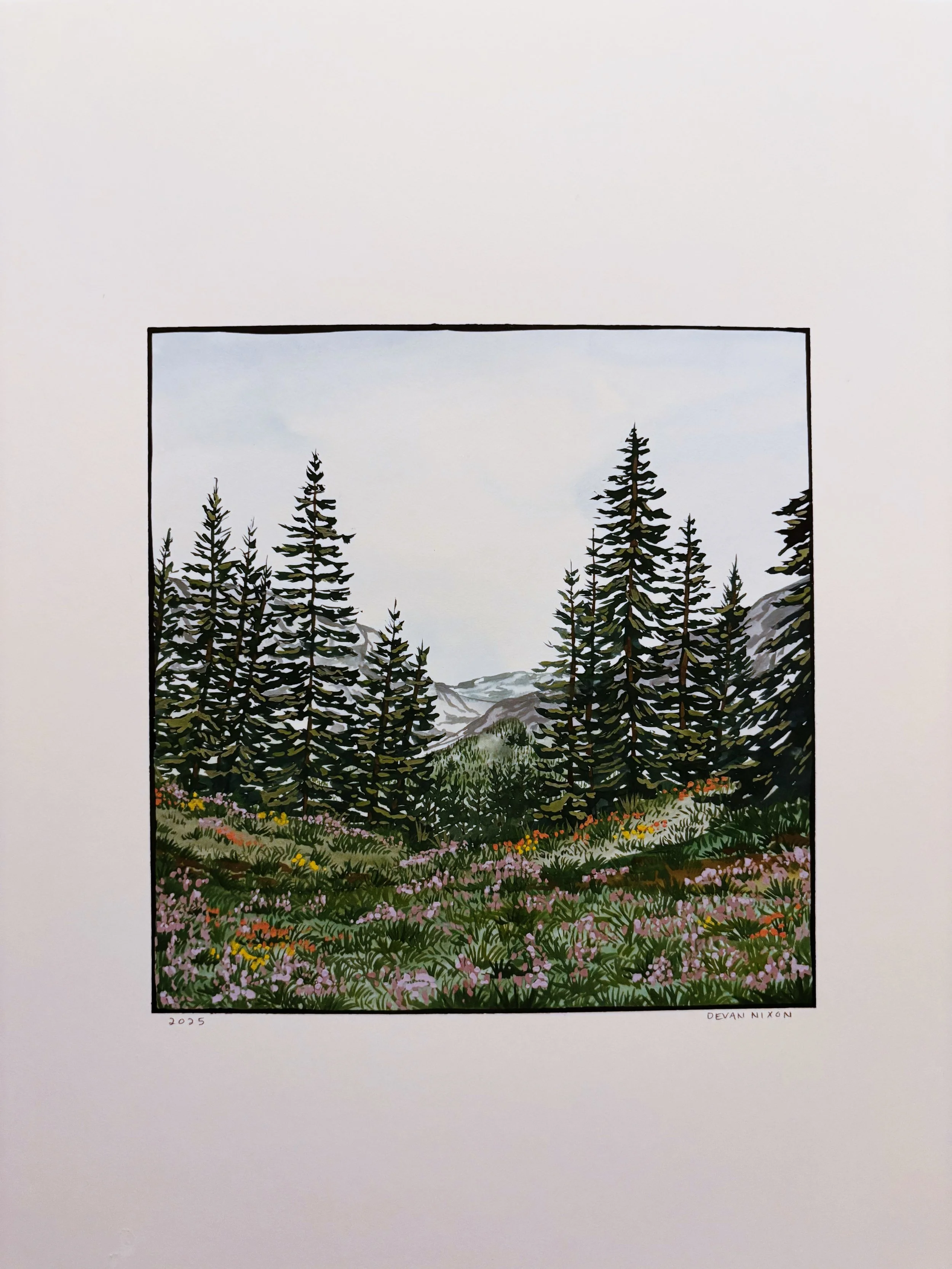 $350 | Wild Flower Season 01 | Watercolor on hot press watercolor paper | 11 x 14