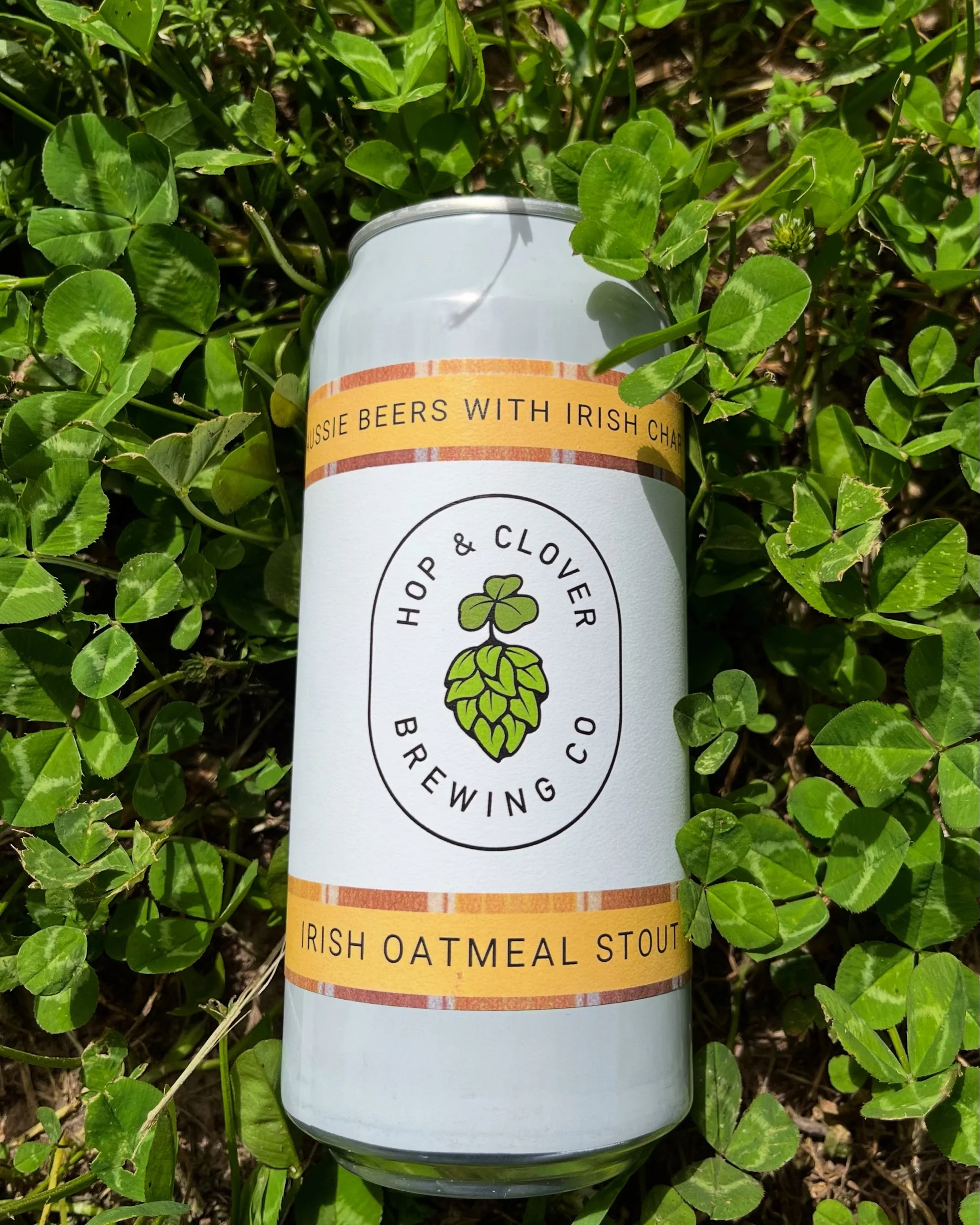 Hop & Clover Brewing Irish Oatmeal Stout