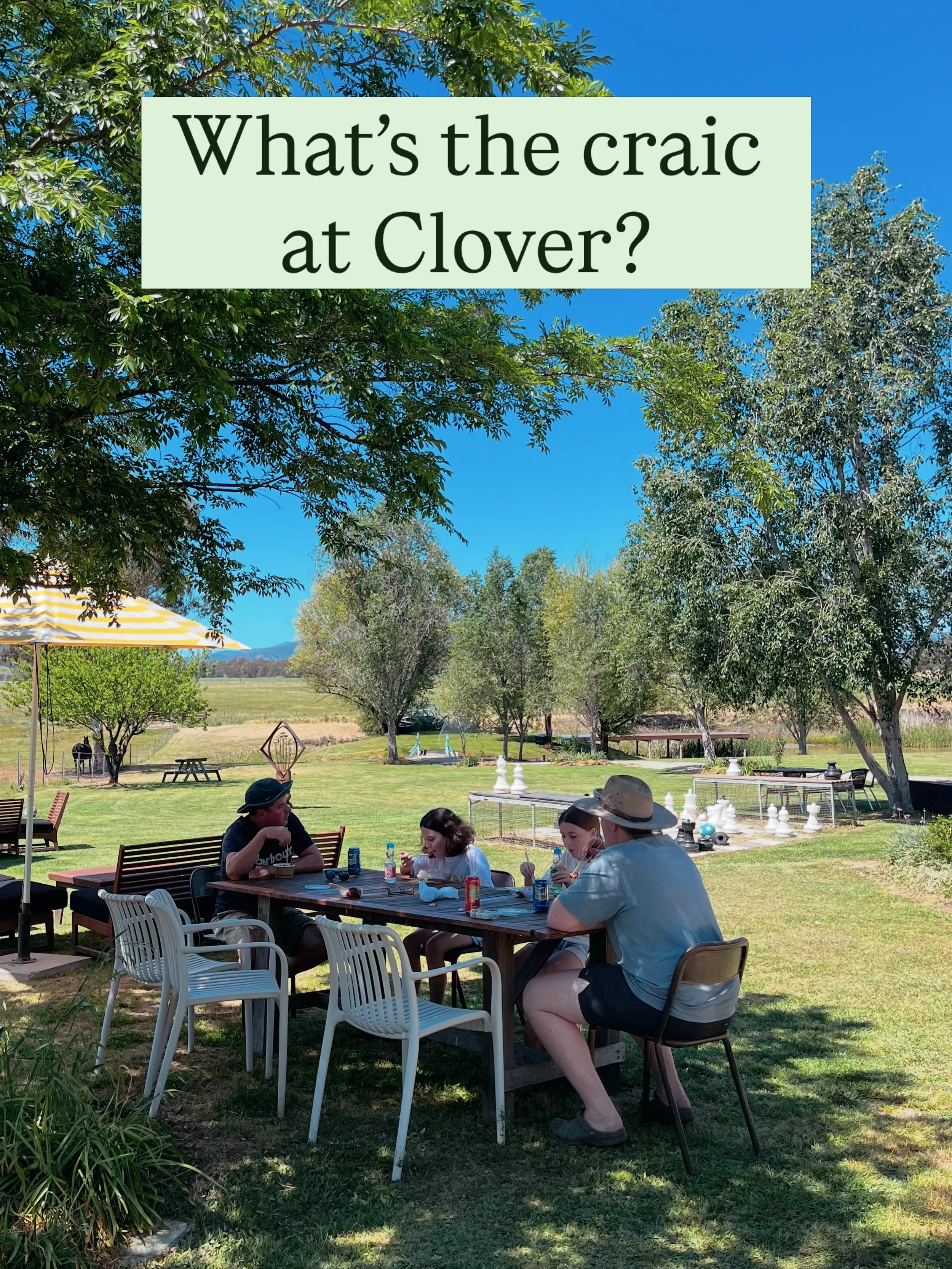 Spring is here! Our front vine is in flower and the sunshine is lovely. What&rsquo;s the craic this week at Clover
* Nomad Kravings Food Pop Up on Saturday and Sunday
* We are open now on Thursdays 11am-3pm for our Summer Season
* Guava and citrus is