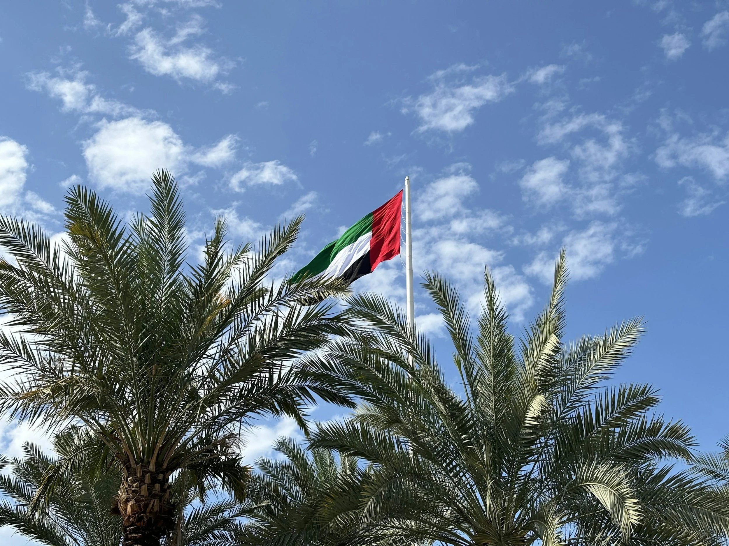 UAE flag flying on a flagpole above palm trees against a blue sky with scattered clouds.