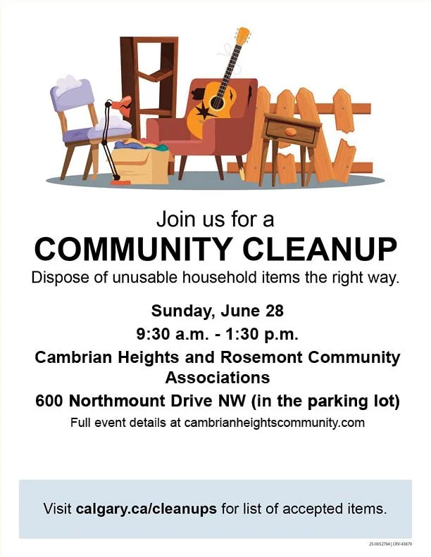 Community Cleanup