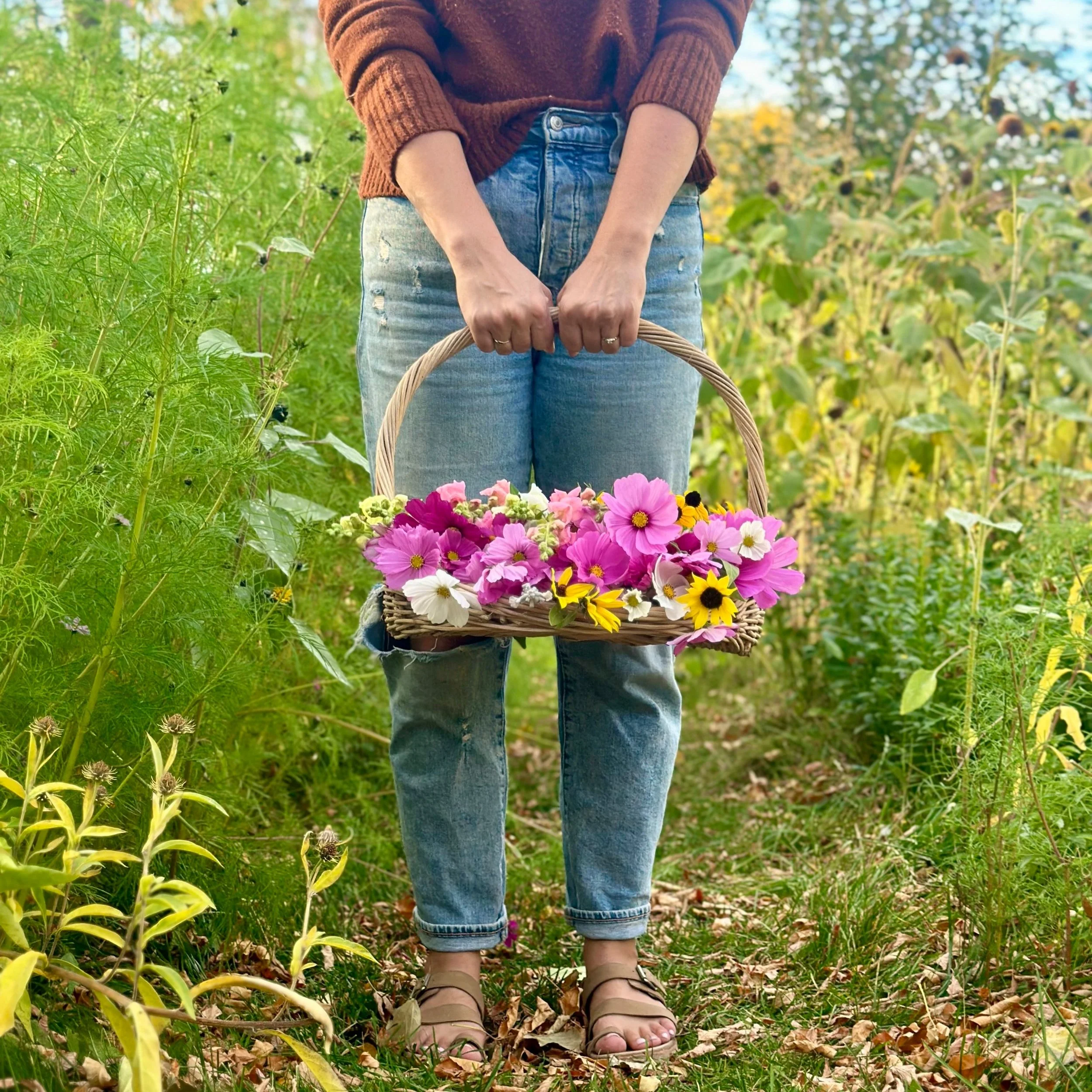 Person holding a basket of colorful flowers in a garden or field with green plants.