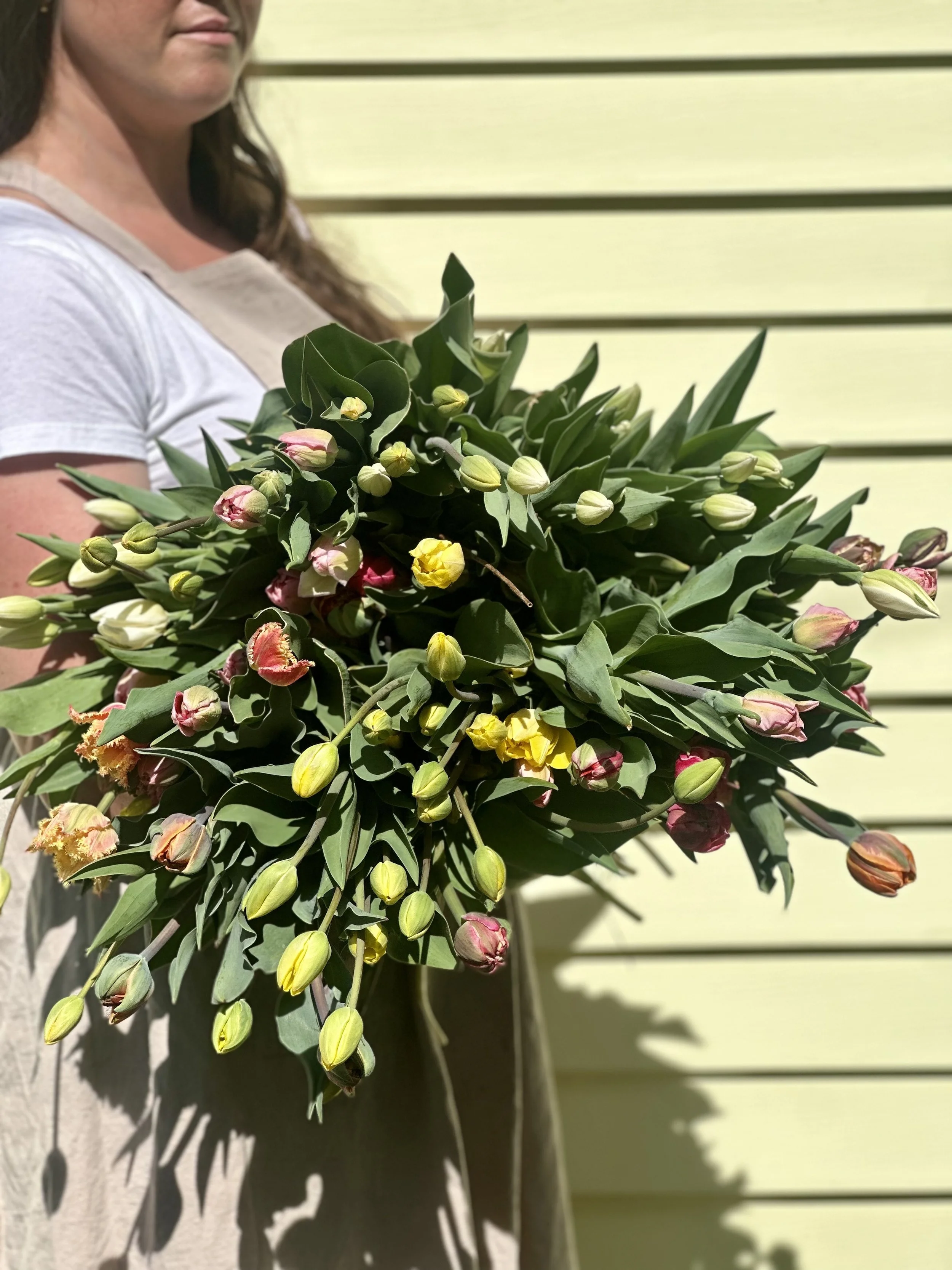 12 week subscription