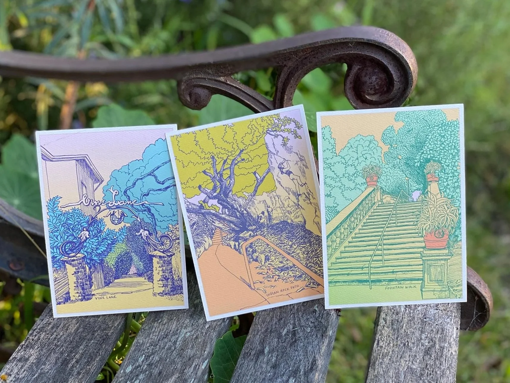 Three illustrated Berkeley path postcards on a garden bench, including Vine Lane, Indian Rock Path, and Fountain Walk, drawn by hand by Karen Kemp.