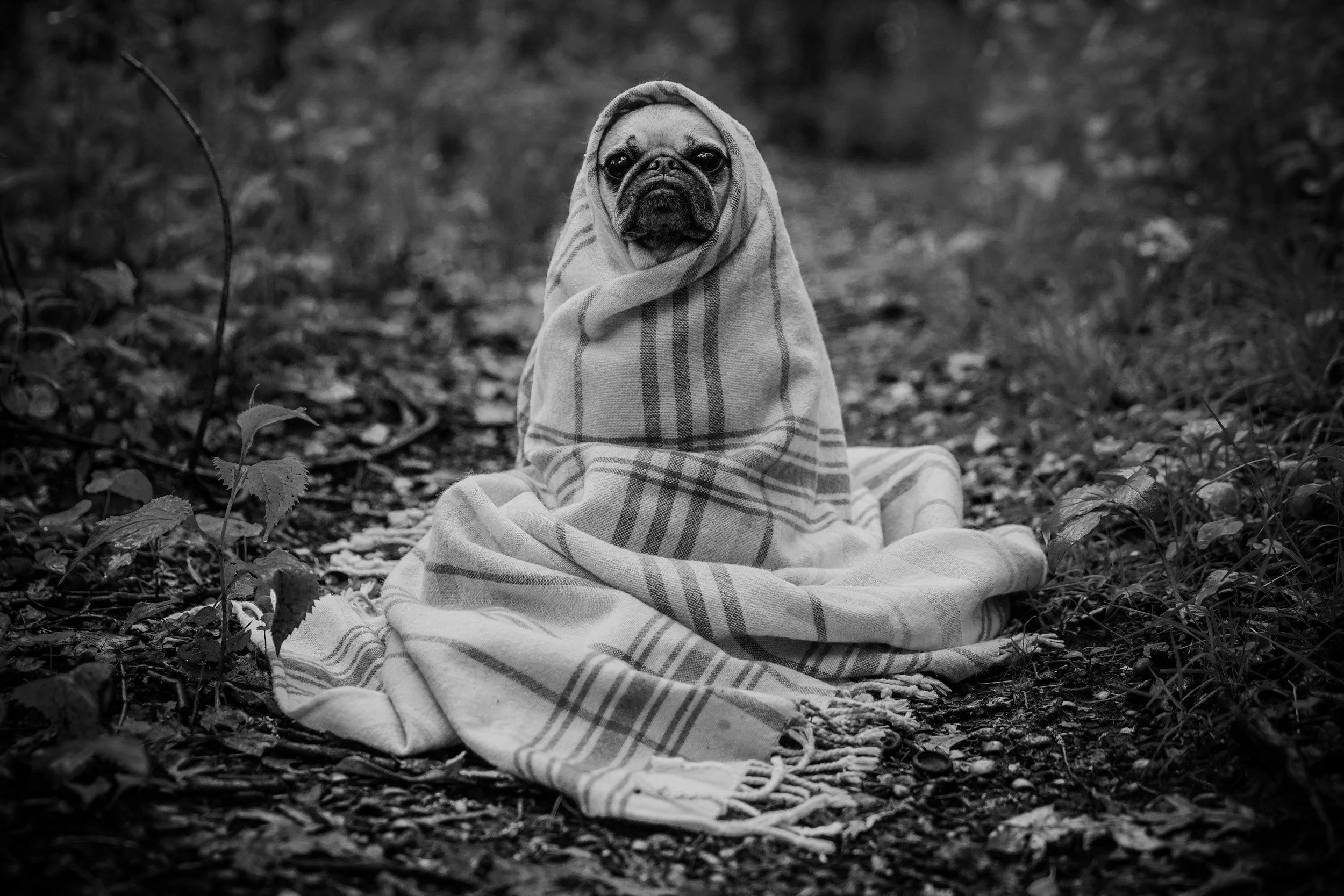 Adapting to Australian Weather: A Student’s Survival Guide