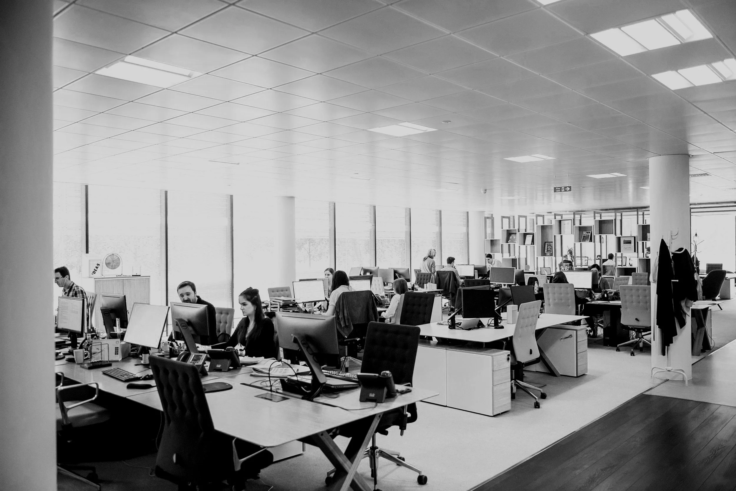 Understanding Australian Workplace Culture: A Guide for International and Local Students