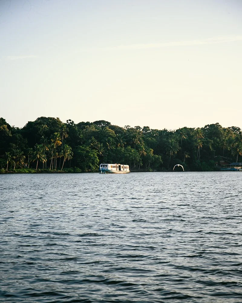 Ashtamudi Lake, Kerala