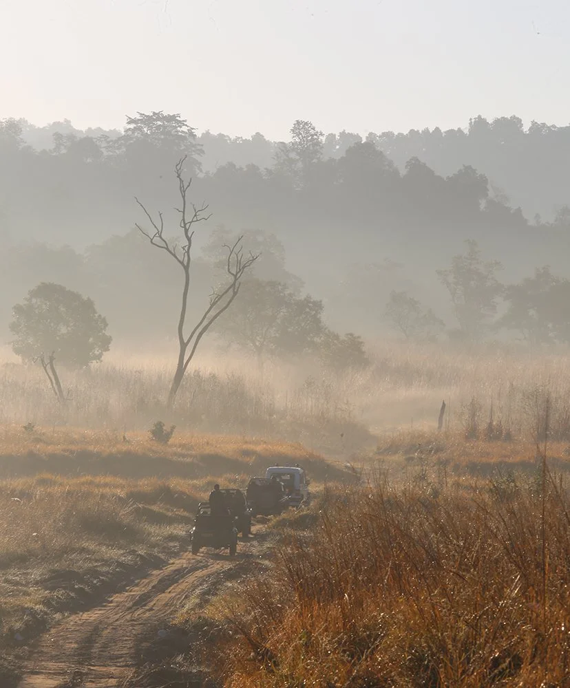 Rajaji Tiger Reserve, Uttarakhand