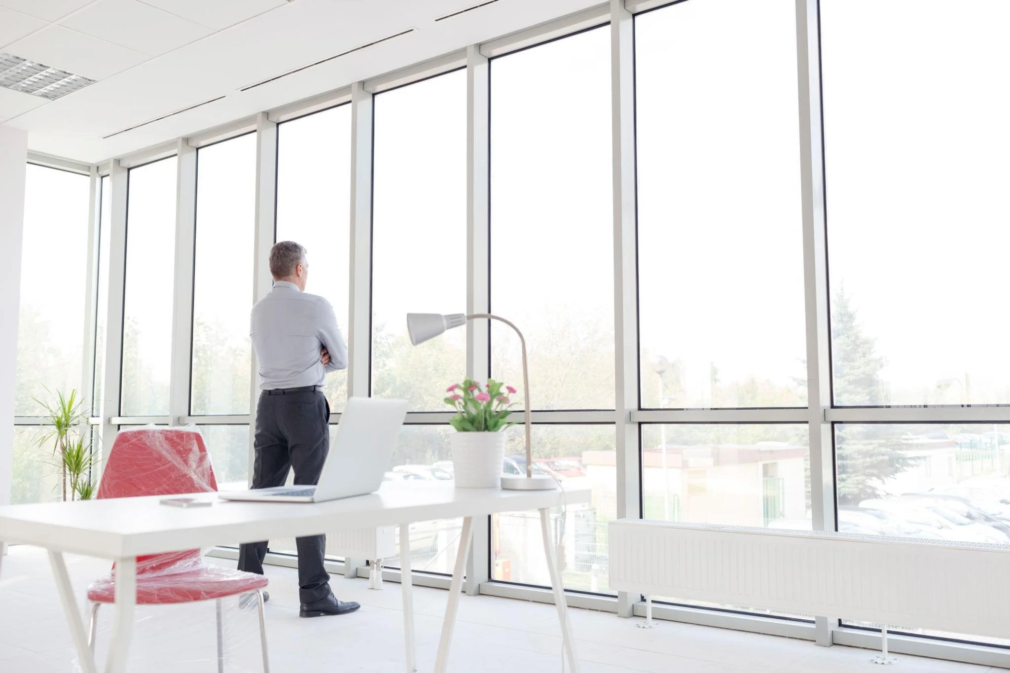 Executive standing calmly by an office window, illustrating somatic leadership through grounded presence and nervous system regulation.