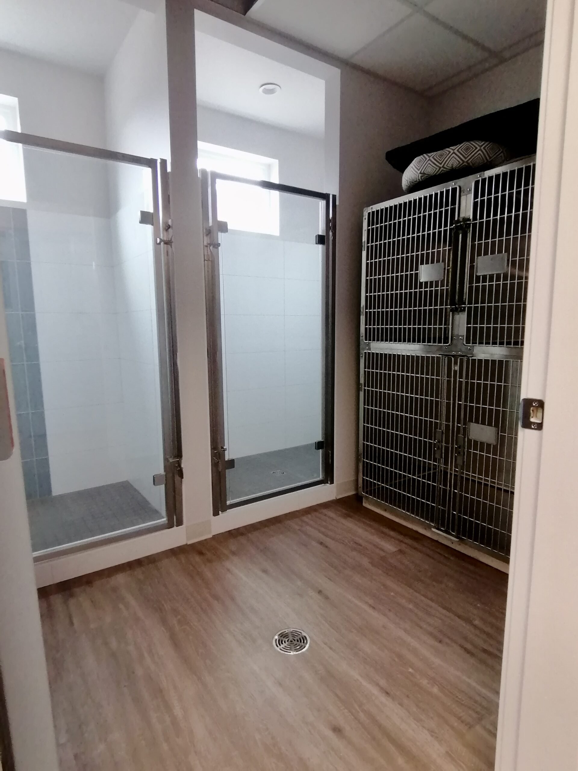 A room containing three glass shower stalls with metal framing and a large metal cage with multiple doors, a cushion and a blanket on top.