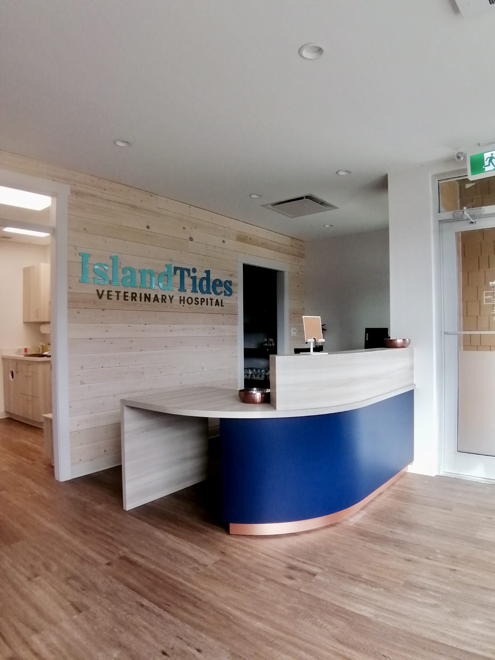 Reception area at Island Tides Veterinary Hospital with a light wood curved front desk, light wood wall with the hospital name, and a doorway leading to other rooms.